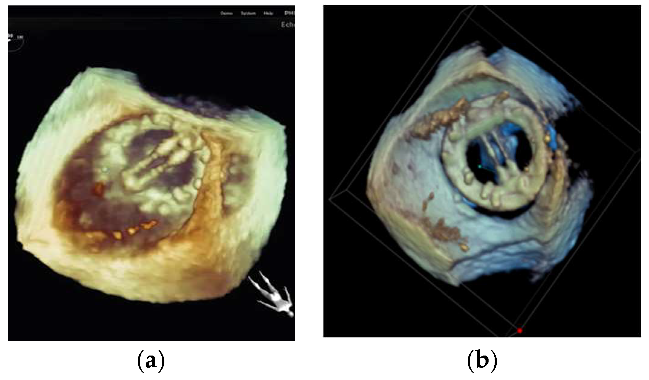 Diagnostics 13 02981 g015