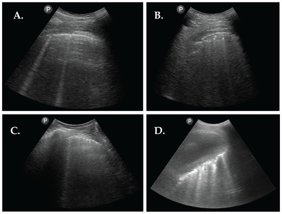 Diagnostics 13 02986 g002