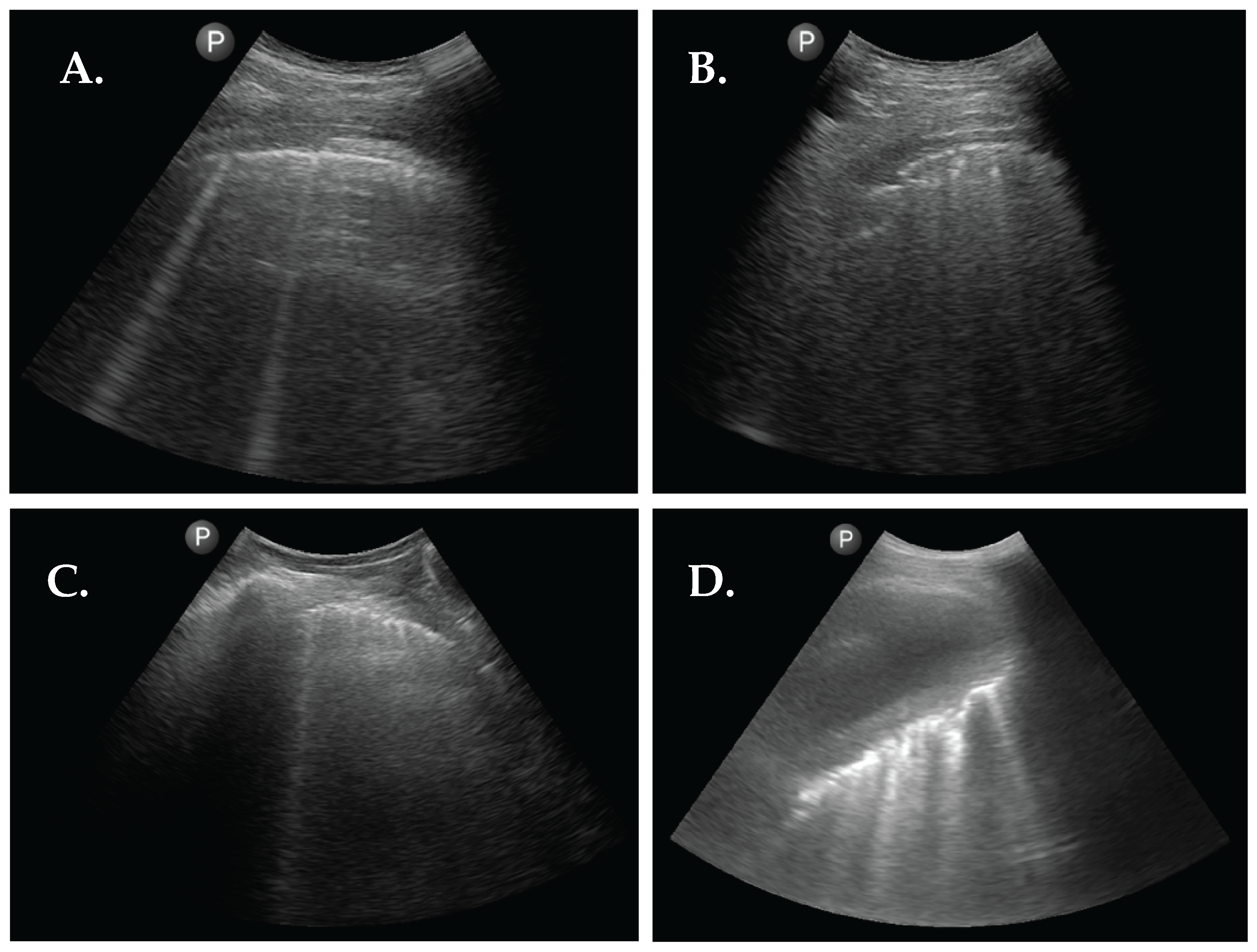 Diagnostics 13 02986 g002