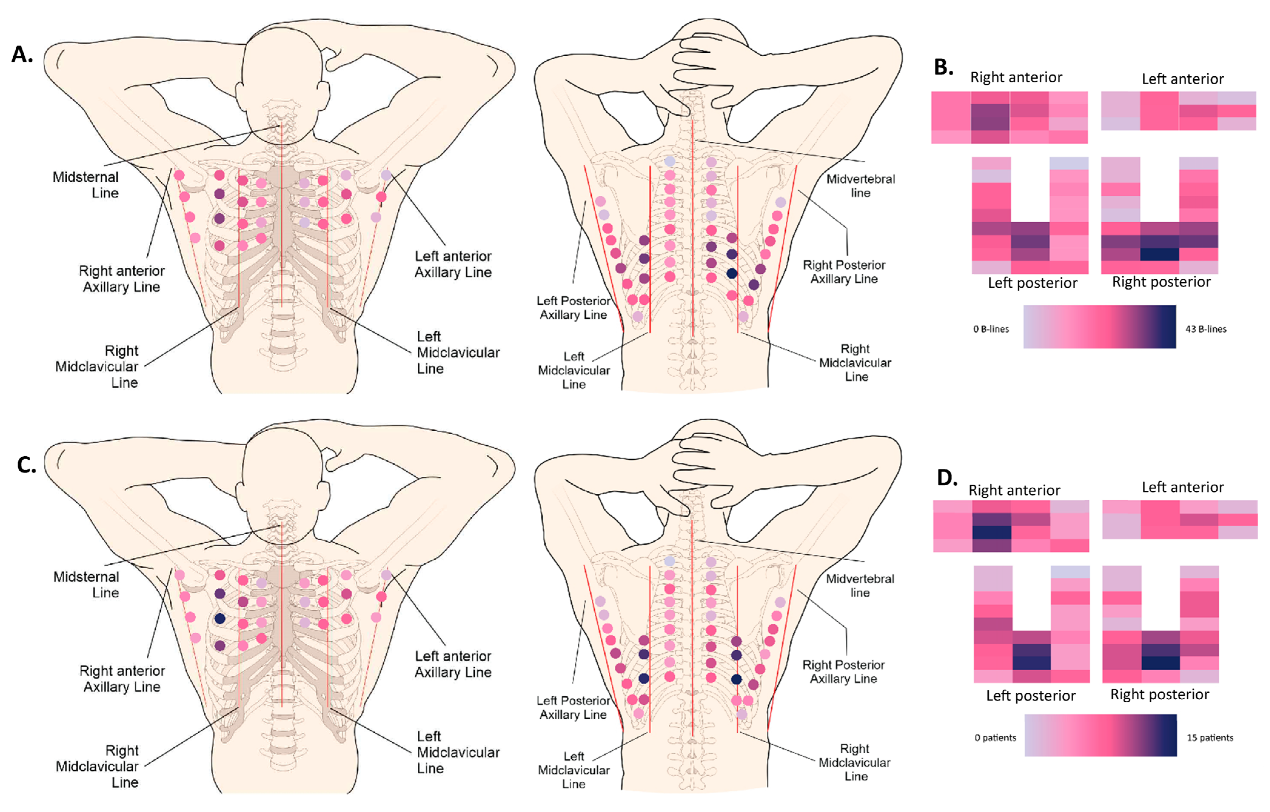 Diagnostics 13 02986 g003