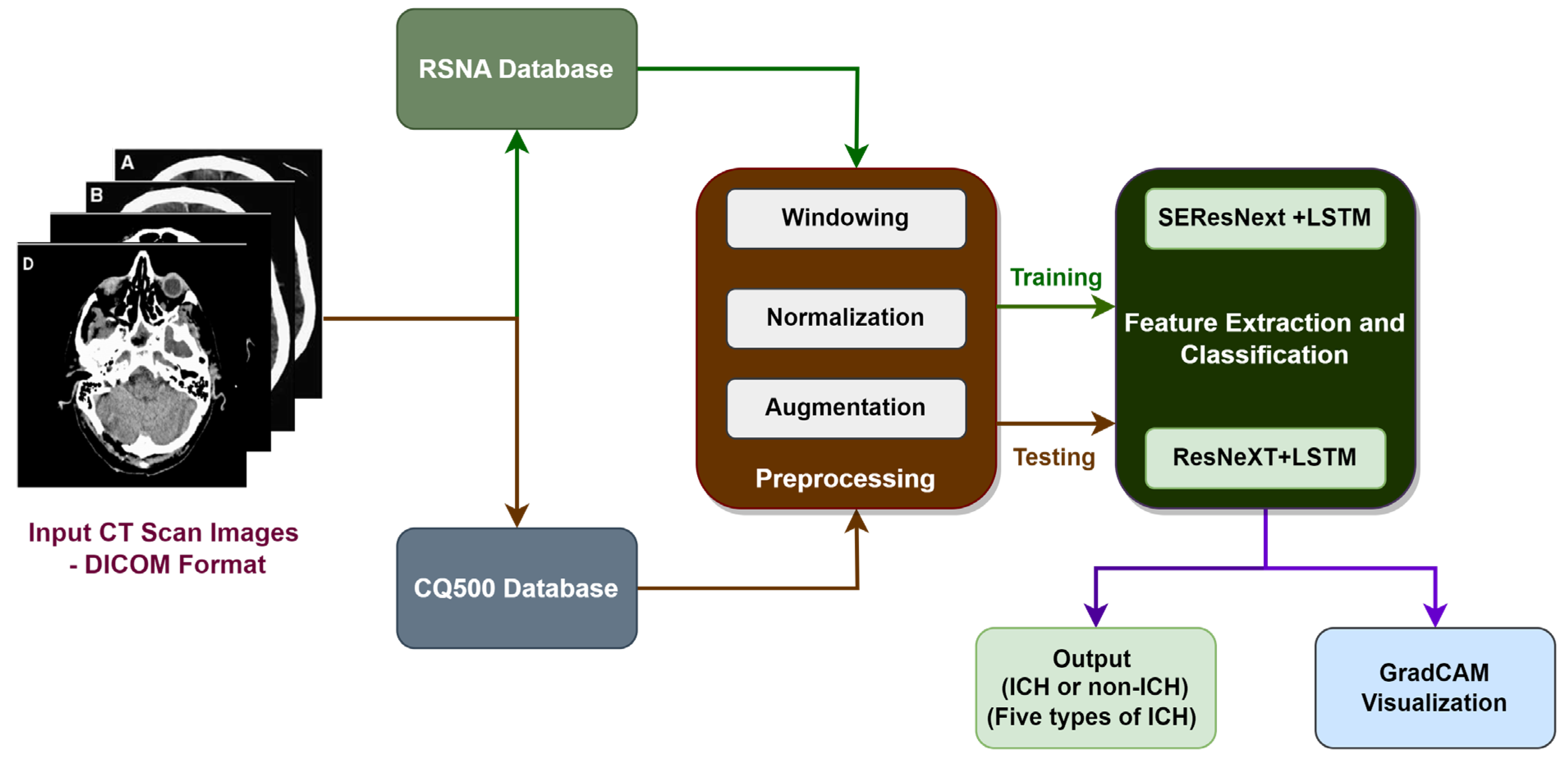 Diagnostics 13 02987 g001