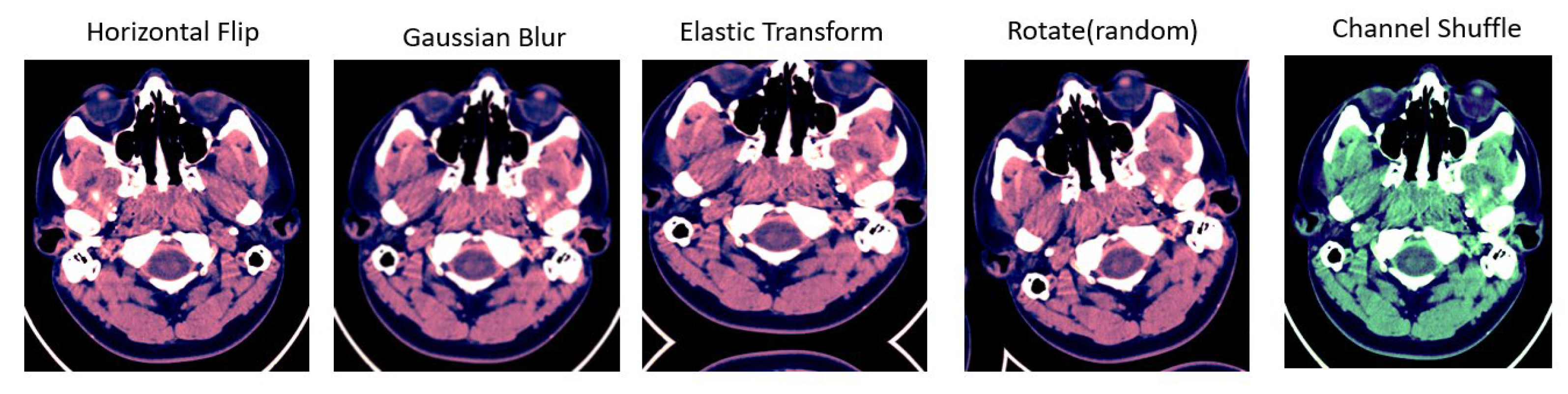 Diagnostics 13 02987 g004