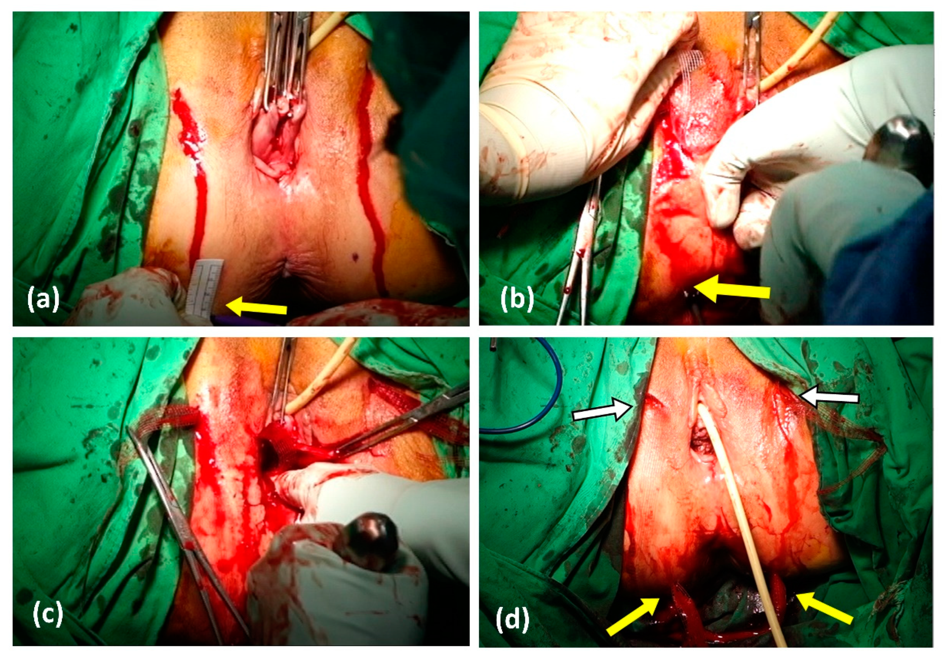 Diagnostics 13 02991 g001