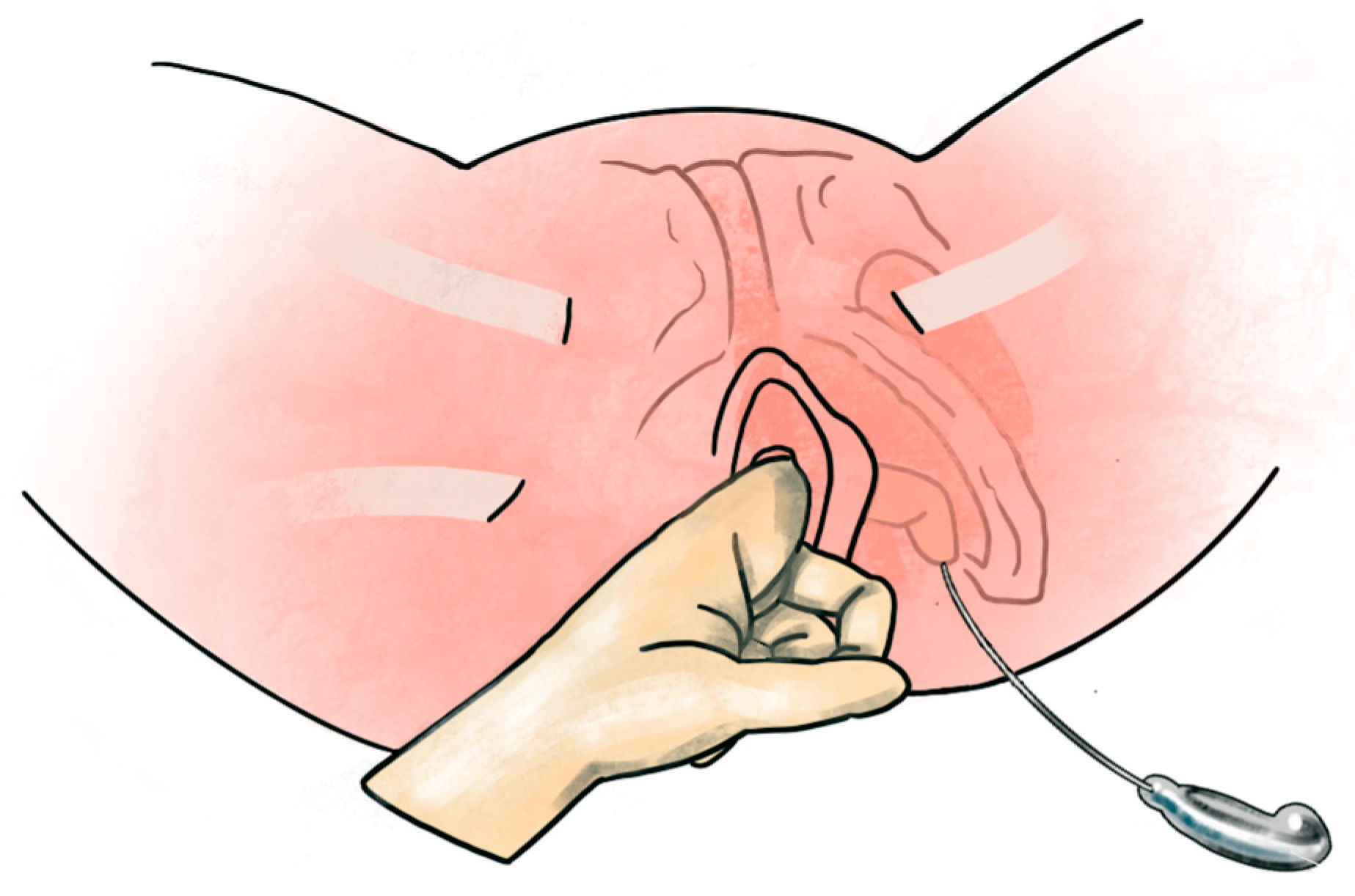 Diagnostics 13 02991 g002