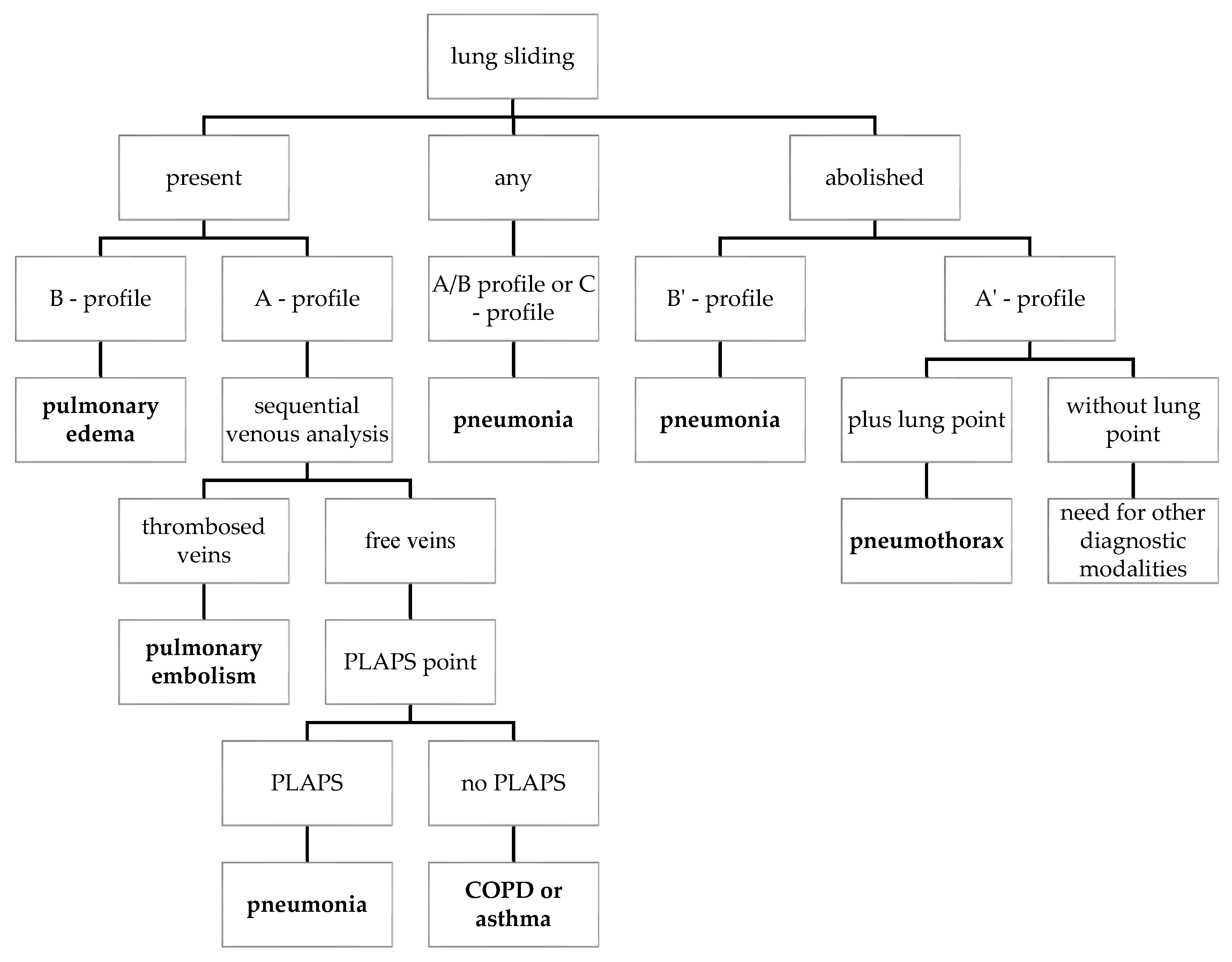 Diagnostics 13 02995 g003