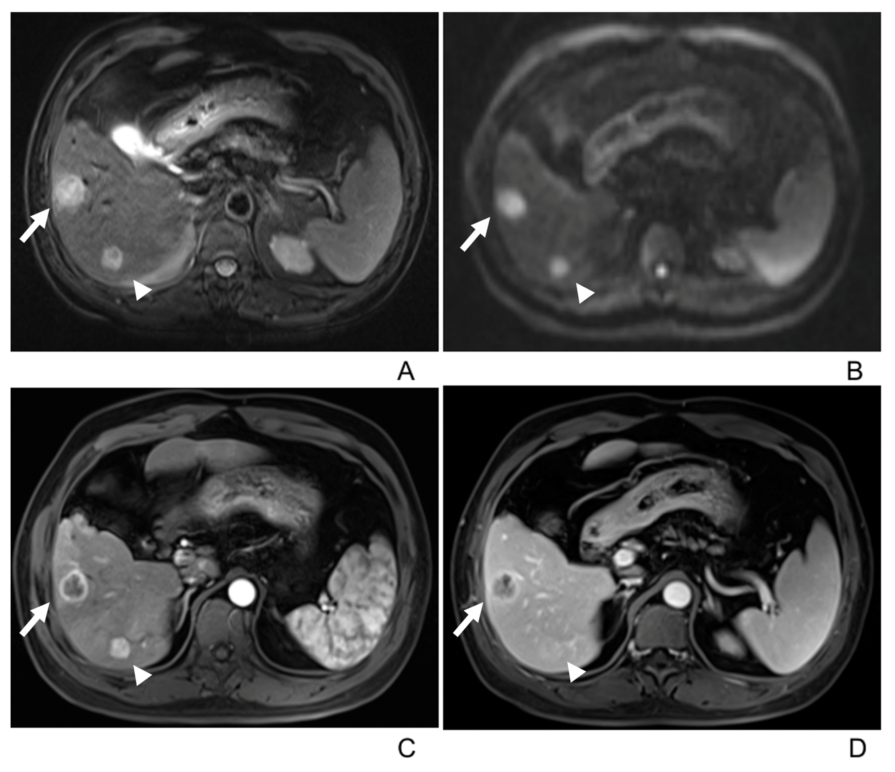 Diagnostics 13 02998 g002