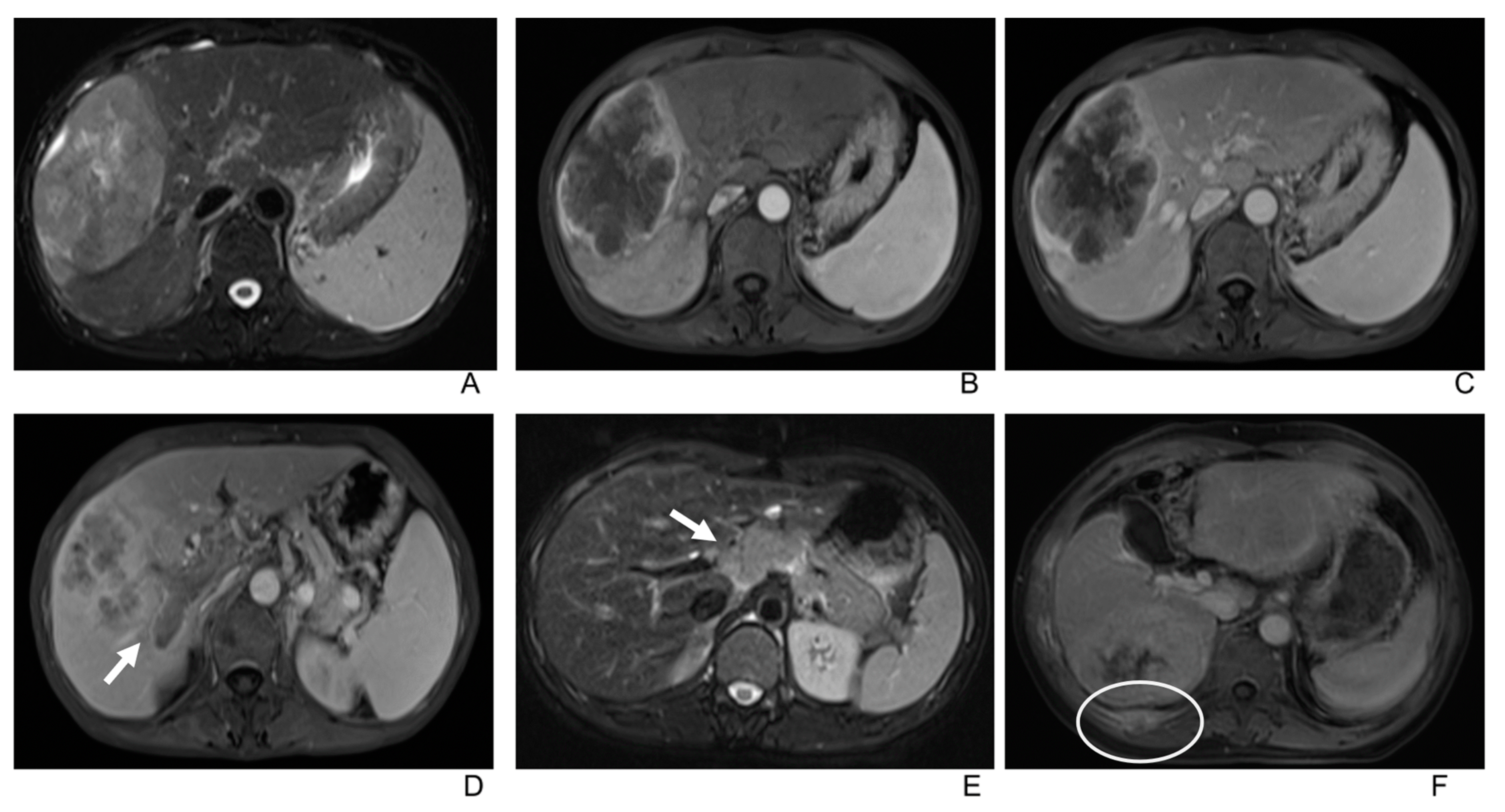 Diagnostics 13 02998 g003