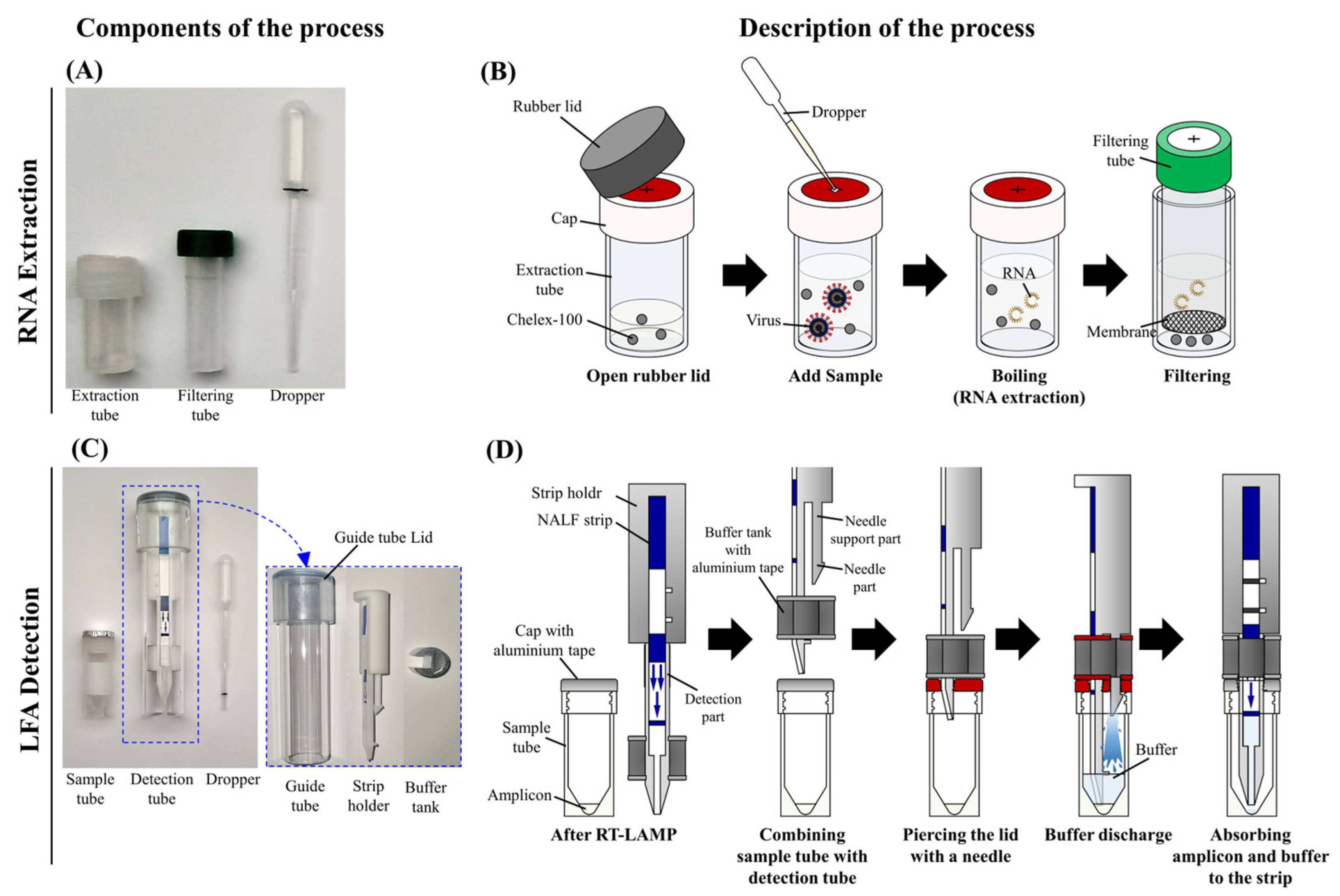 Diagnostics 13 03001 g002