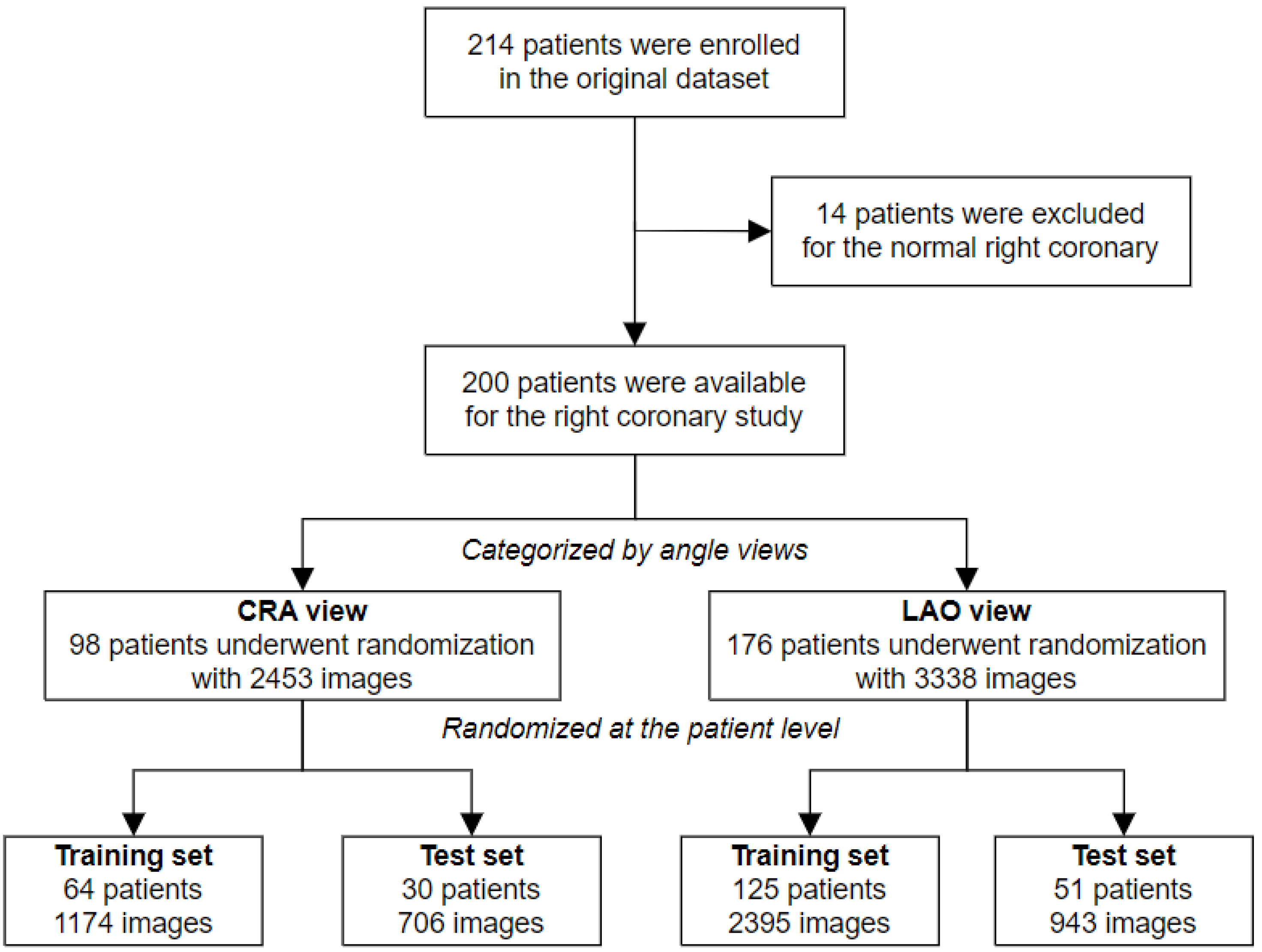 Diagnostics 13 03011 g001