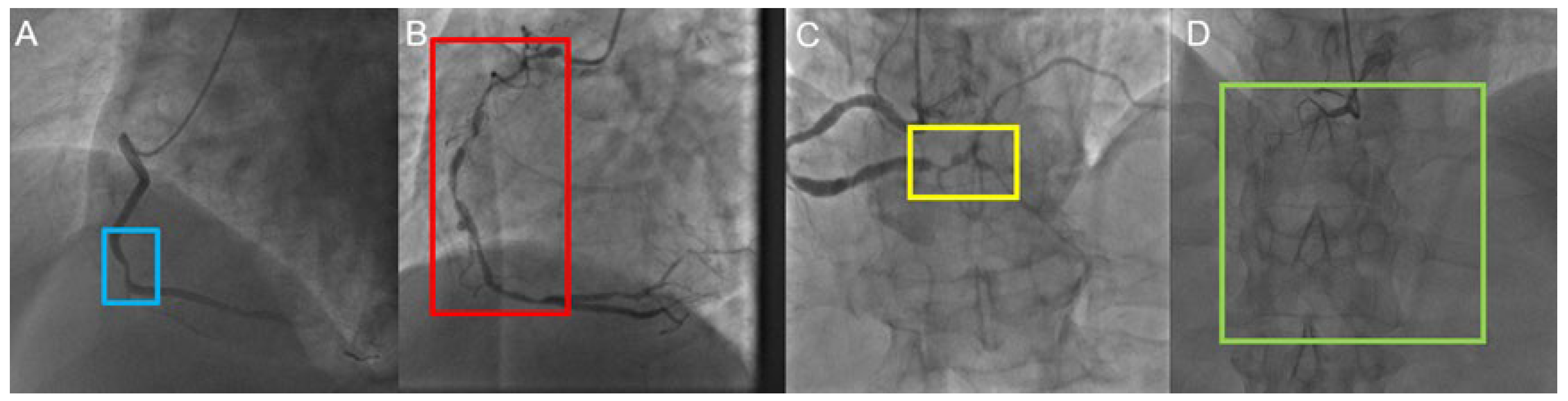Diagnostics 13 03011 g002