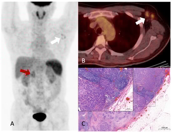 Diagnostics 13 03012 g002
