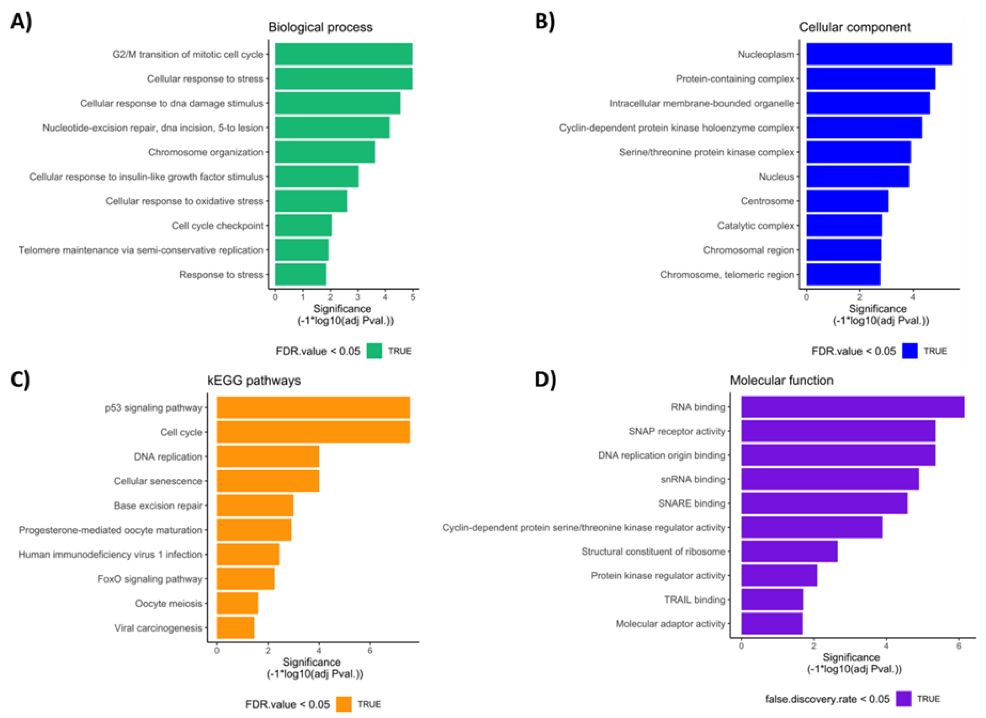 Diagnostics 13 03020 g009