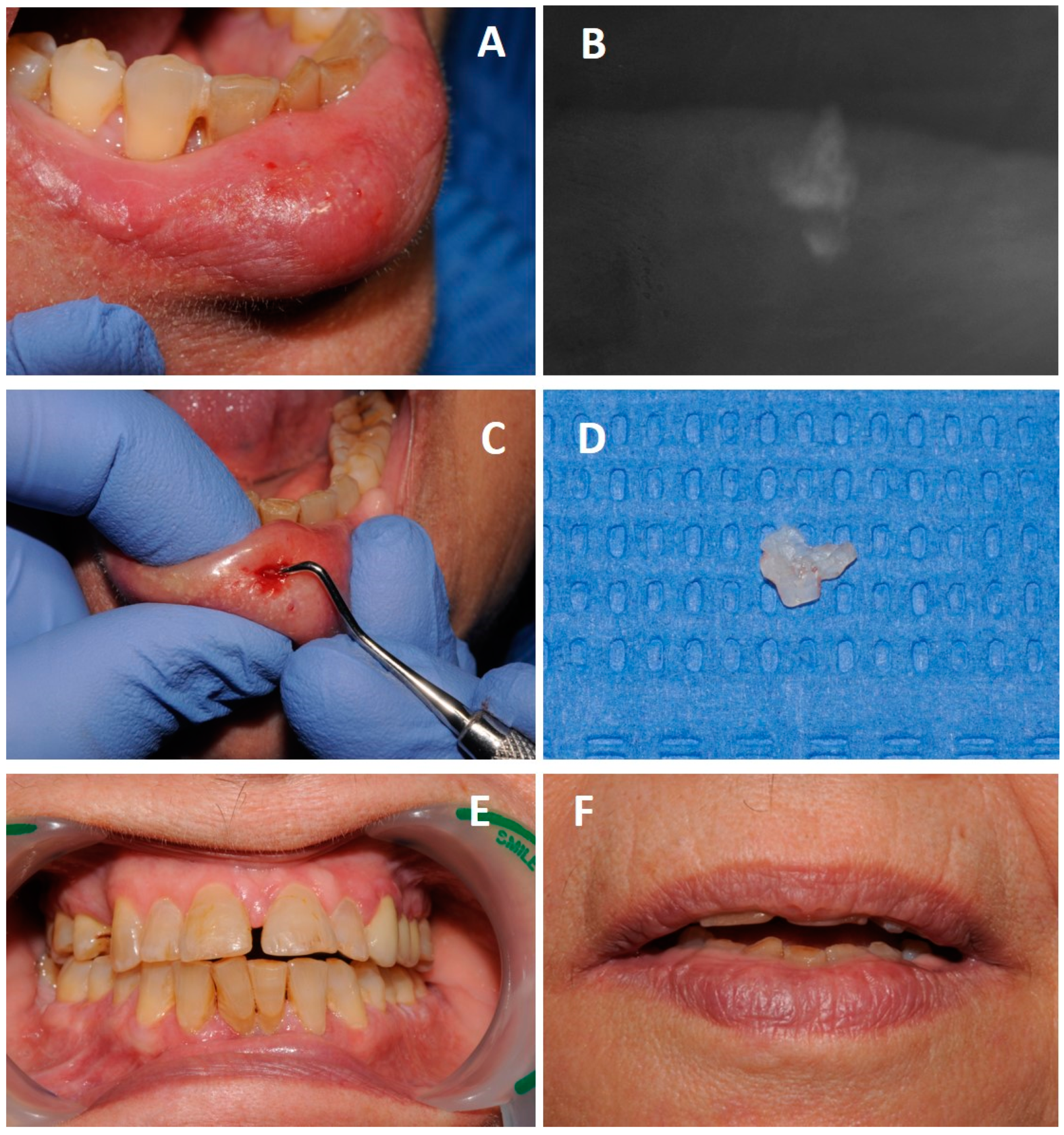 Diagnostics 13 03021 g002