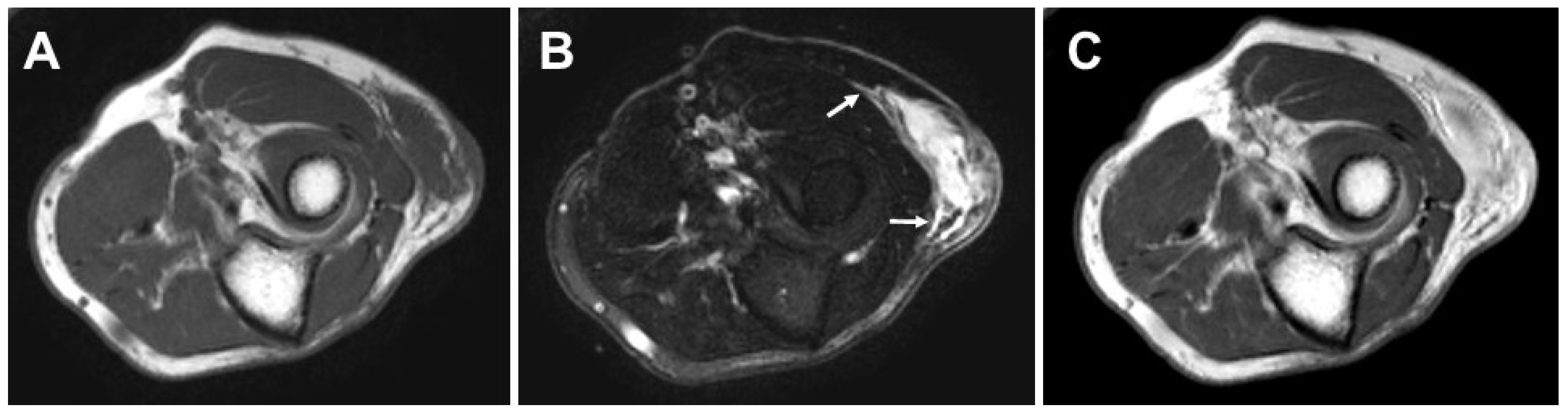 Diagnostics 13 03022 g001