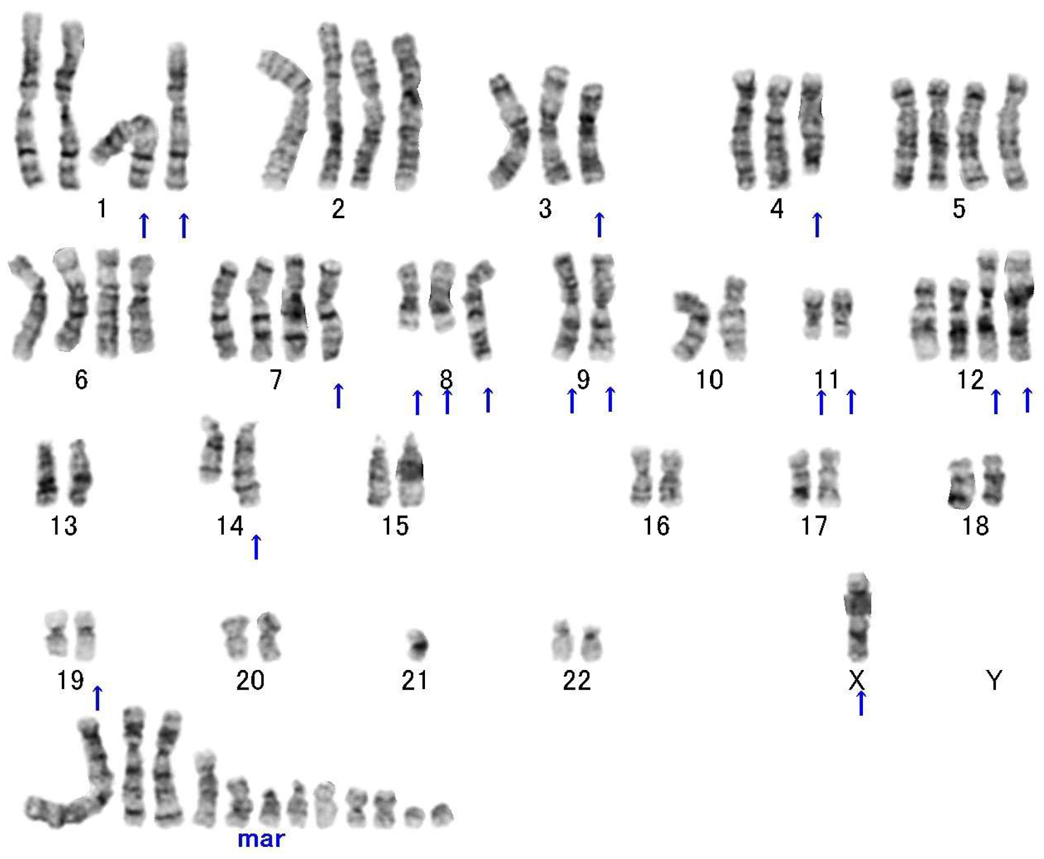 Diagnostics 13 03022 g002
