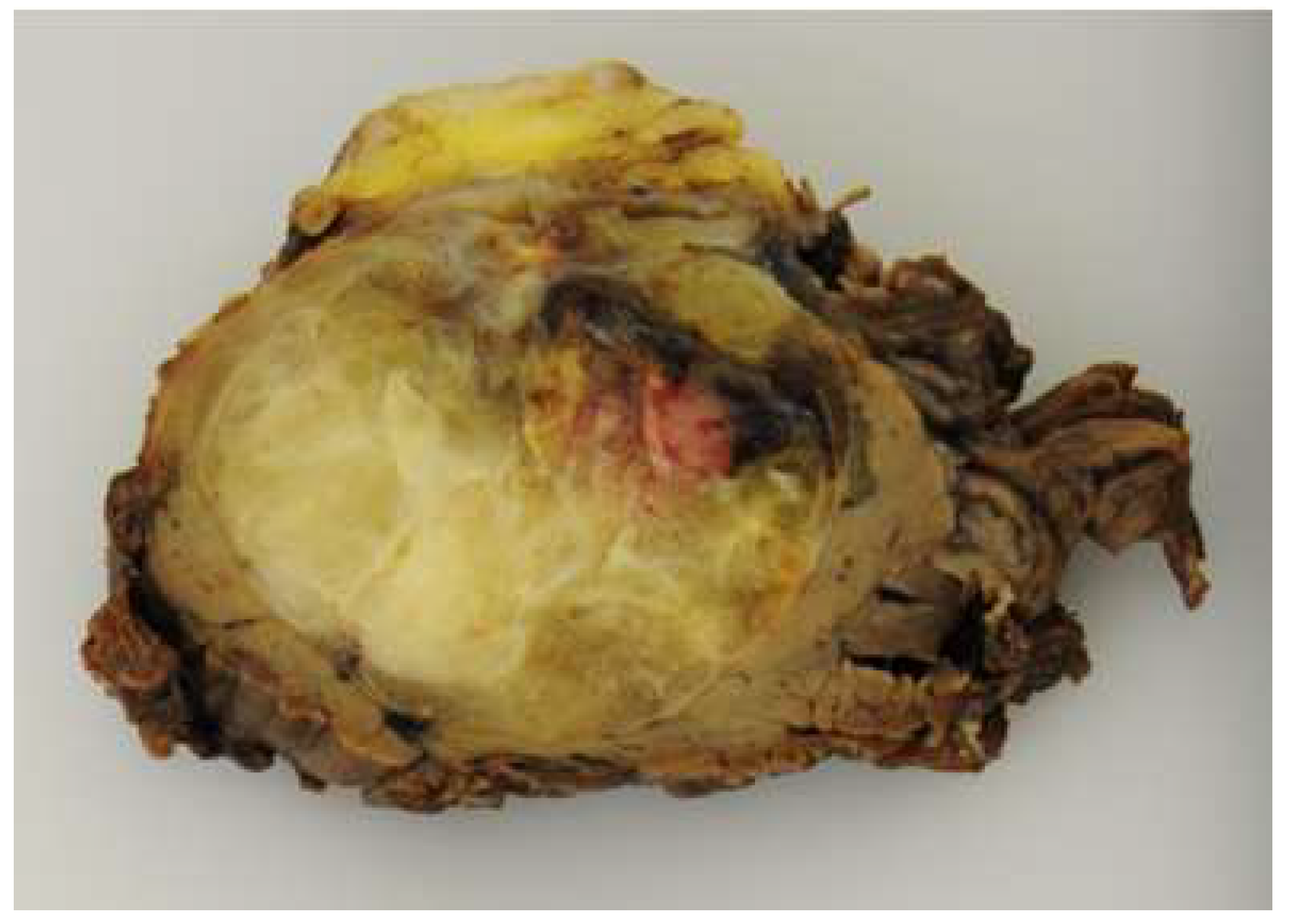 Diagnostics 13 03022 g003