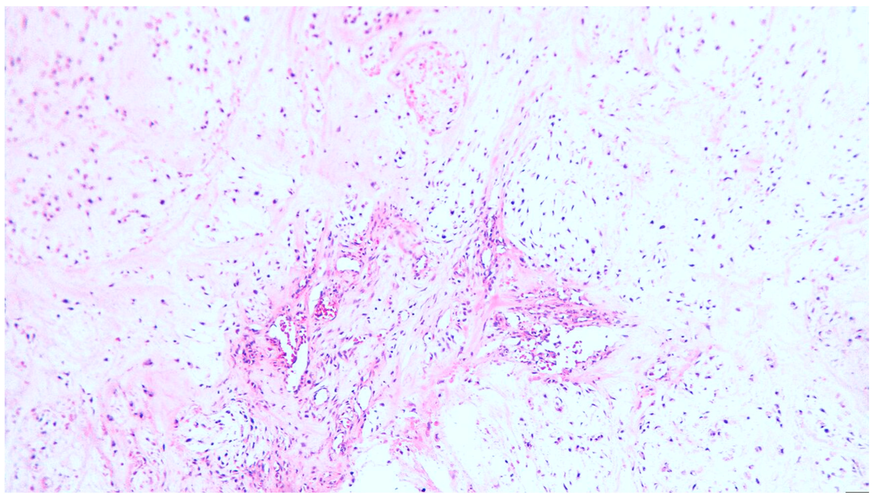 Diagnostics 13 03026 g001