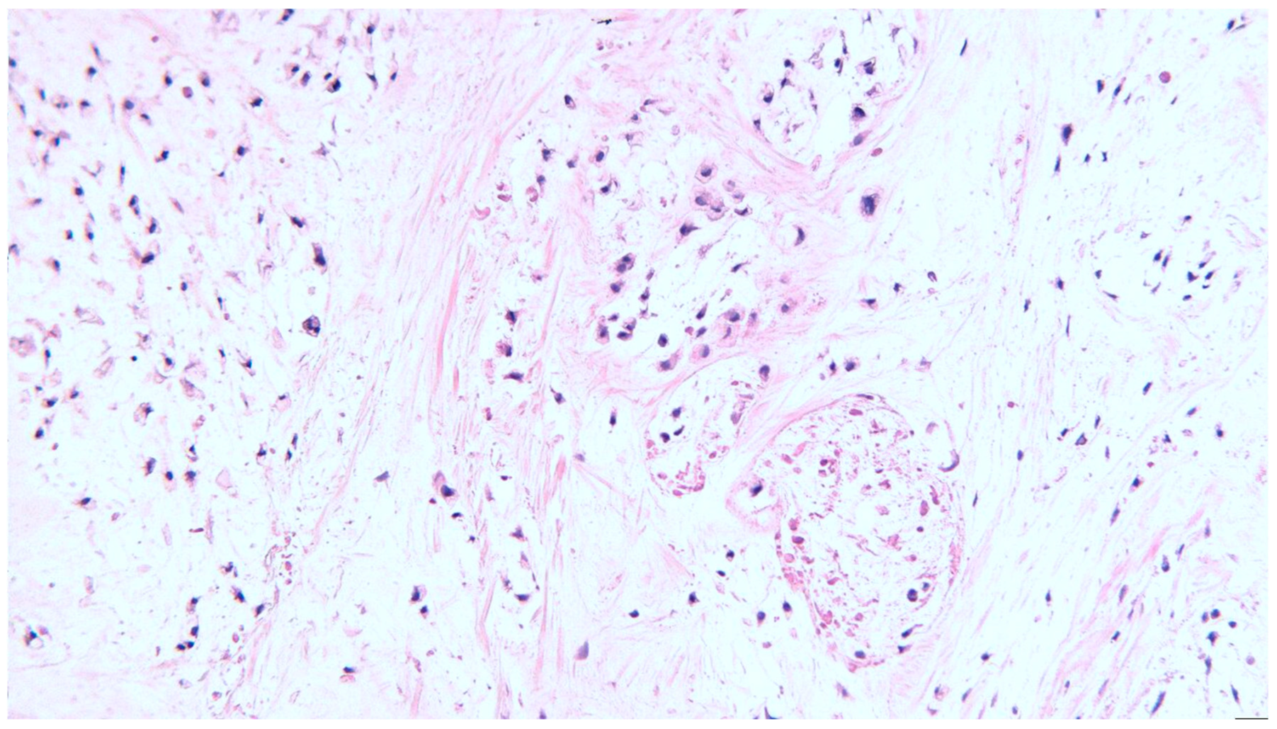 Diagnostics 13 03026 g002