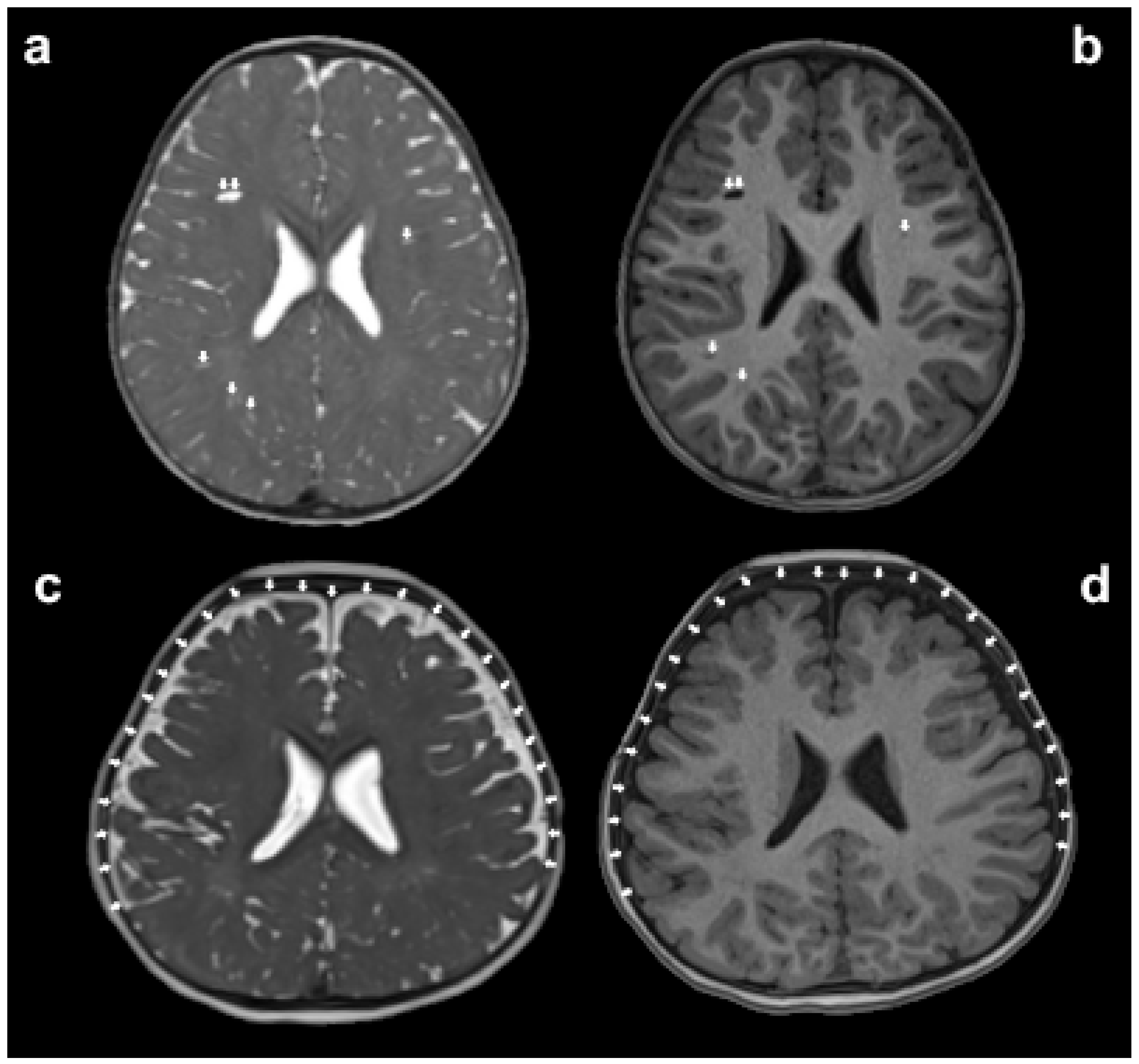 Diagnostics 13 03027 g003