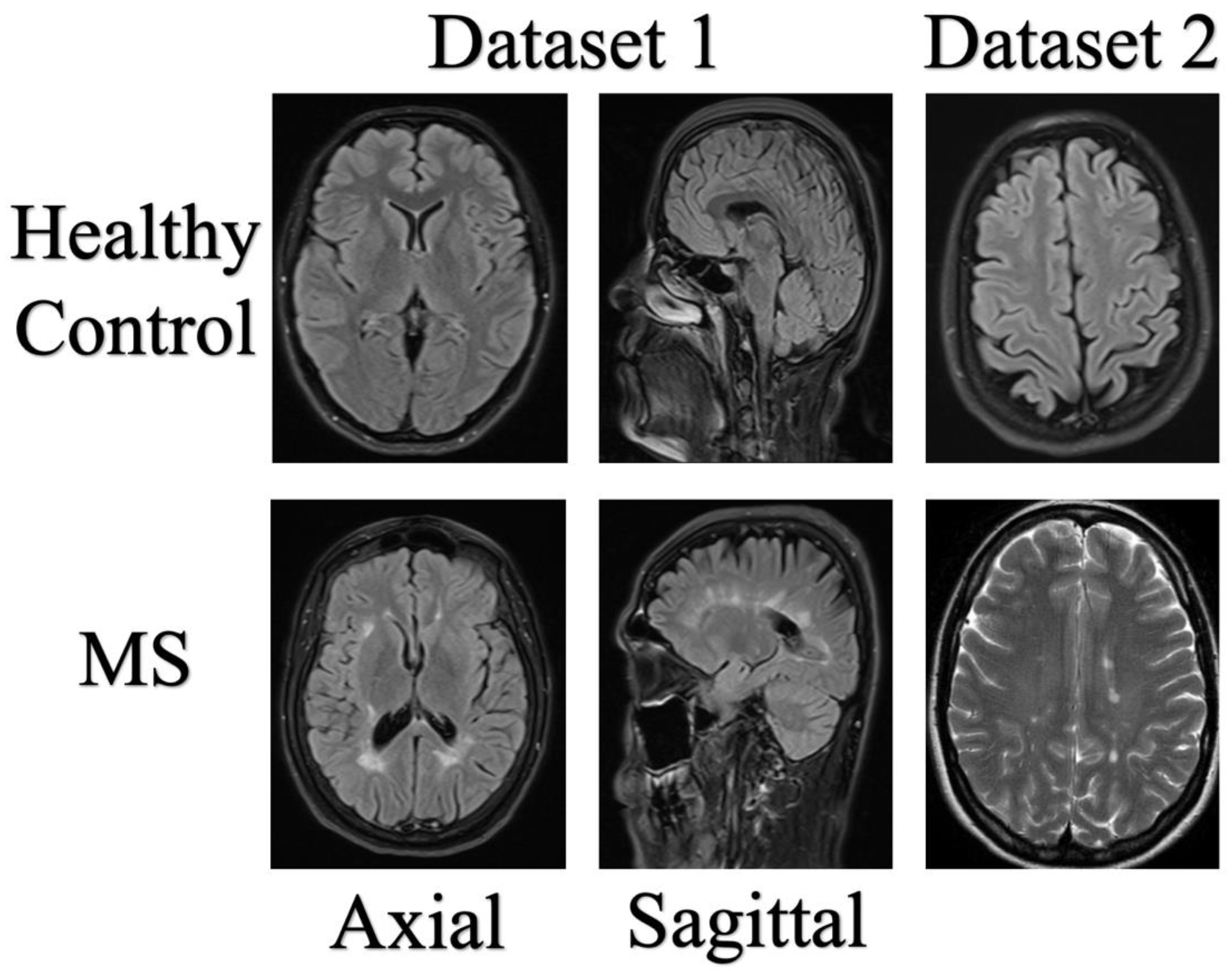 Diagnostics 13 03030 g003