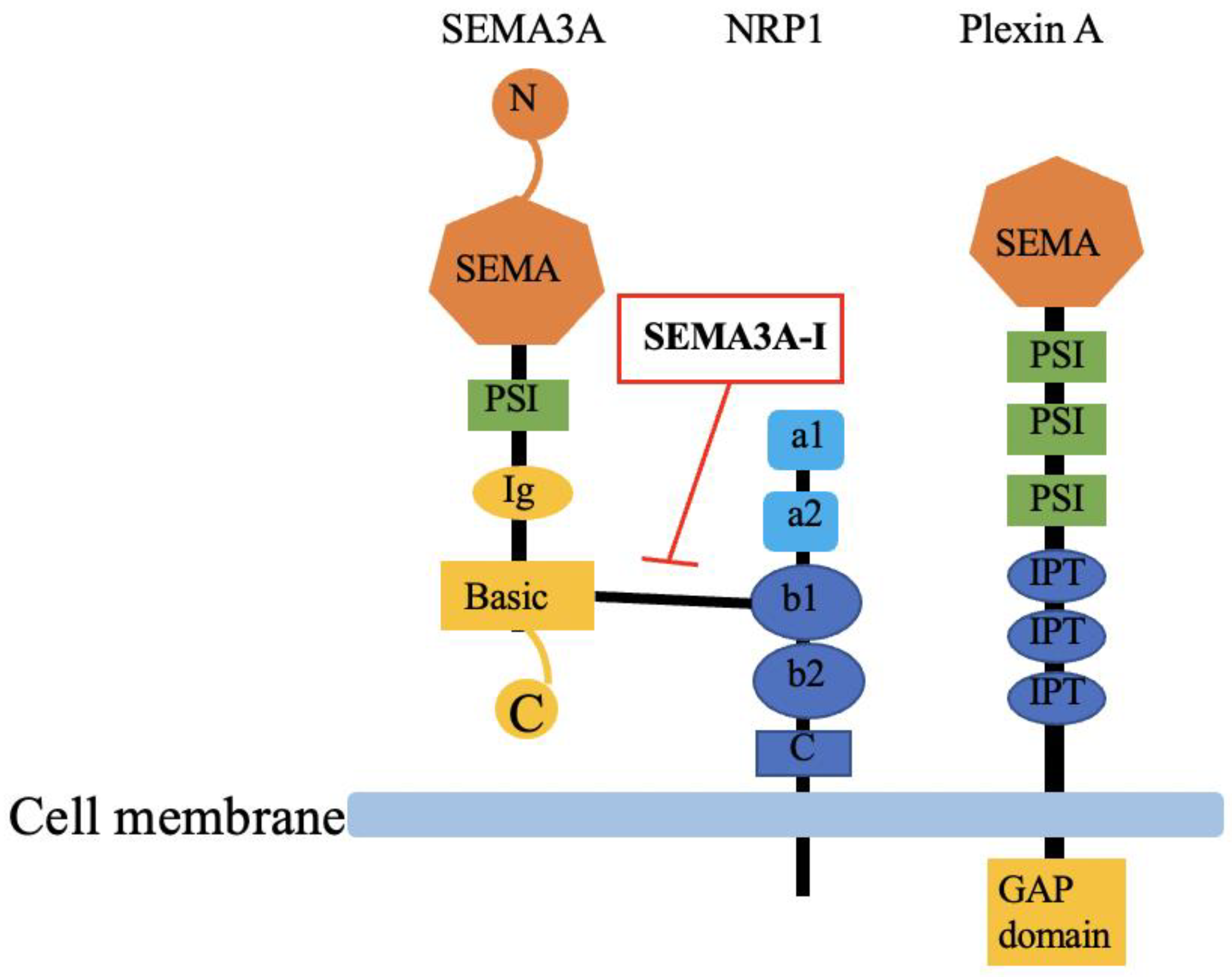 Diagnostics 13 03038 g001