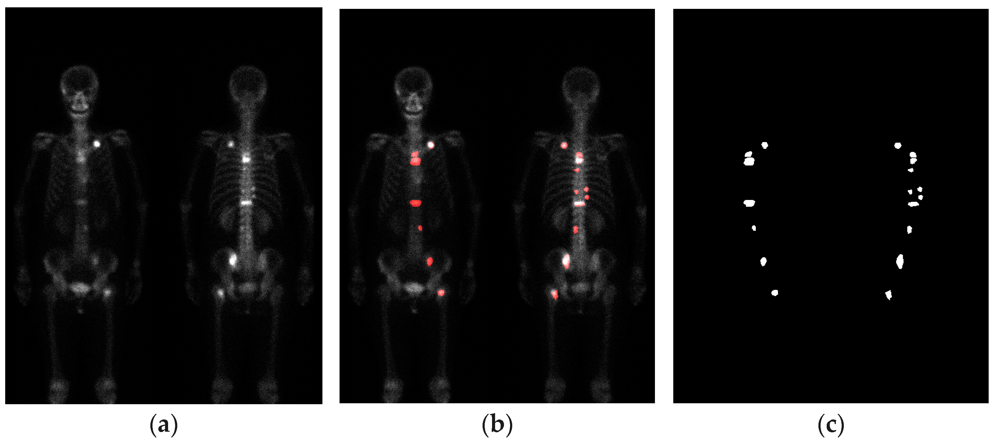 Diagnostics 13 03042 g002