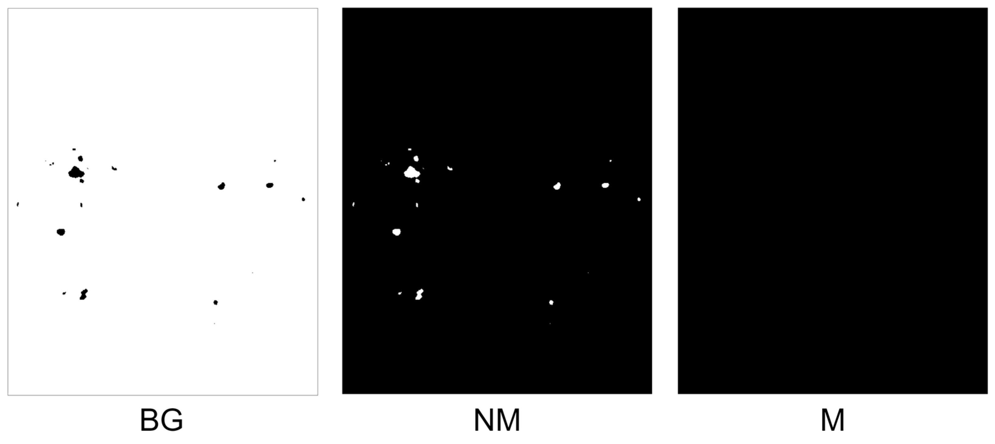Diagnostics 13 03042 g010