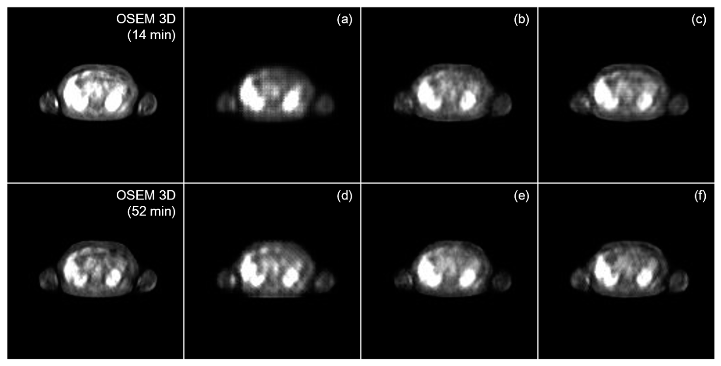 Diagnostics 13 03045 g002