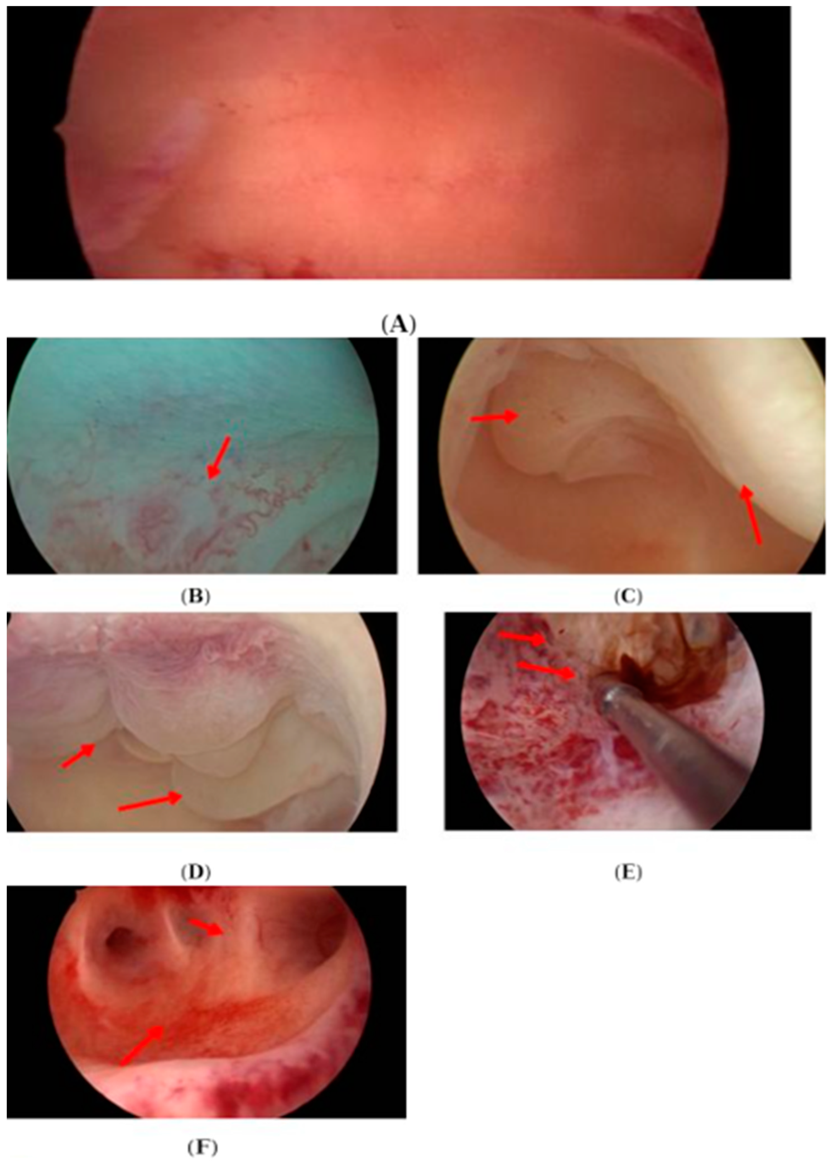 Diagnostics 13 03048 g002