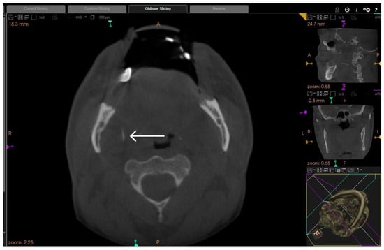 Diagnostics 13 03050 g002