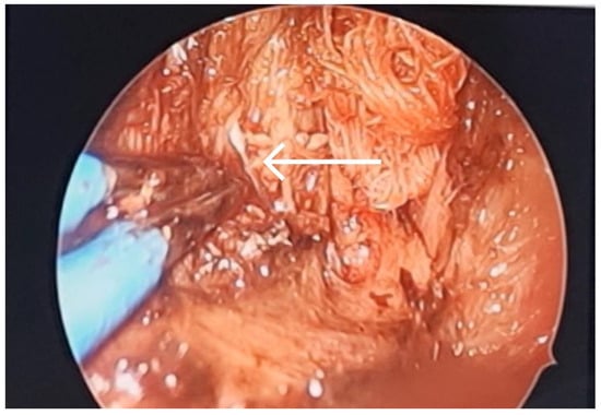 Diagnostics 13 03050 g005