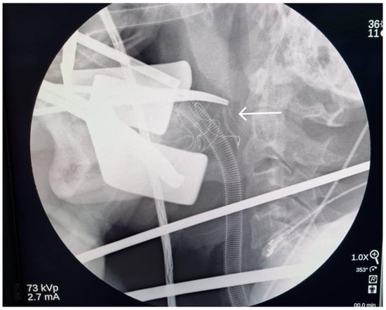 Diagnostics 13 03050 g006