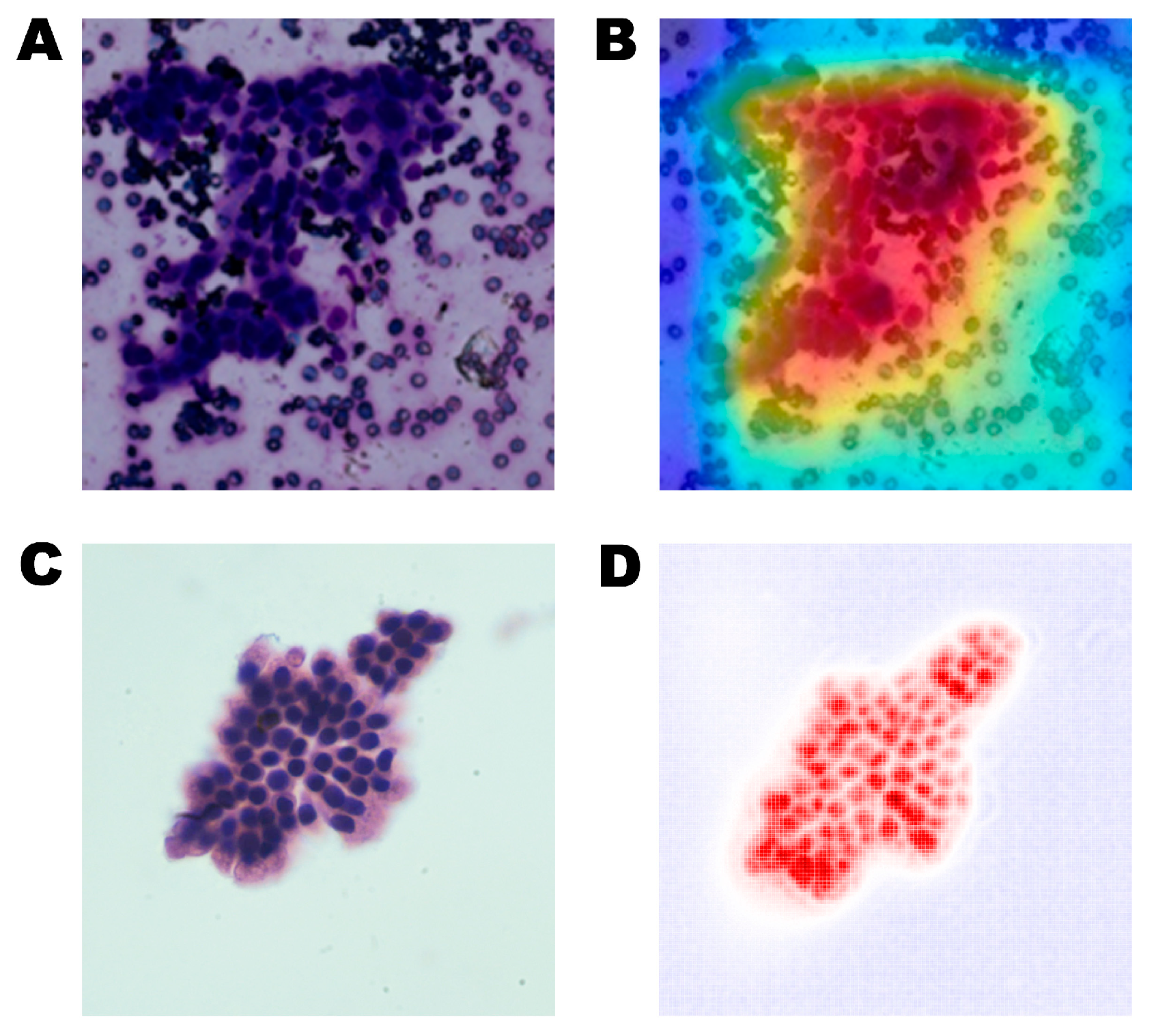 Diagnostics 13 03054 g002