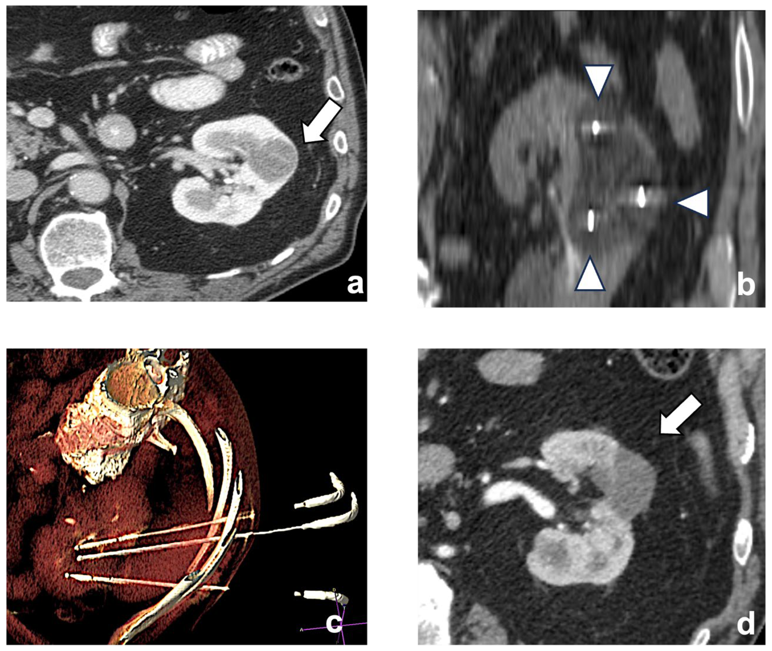 Diagnostics 13 03059 g002