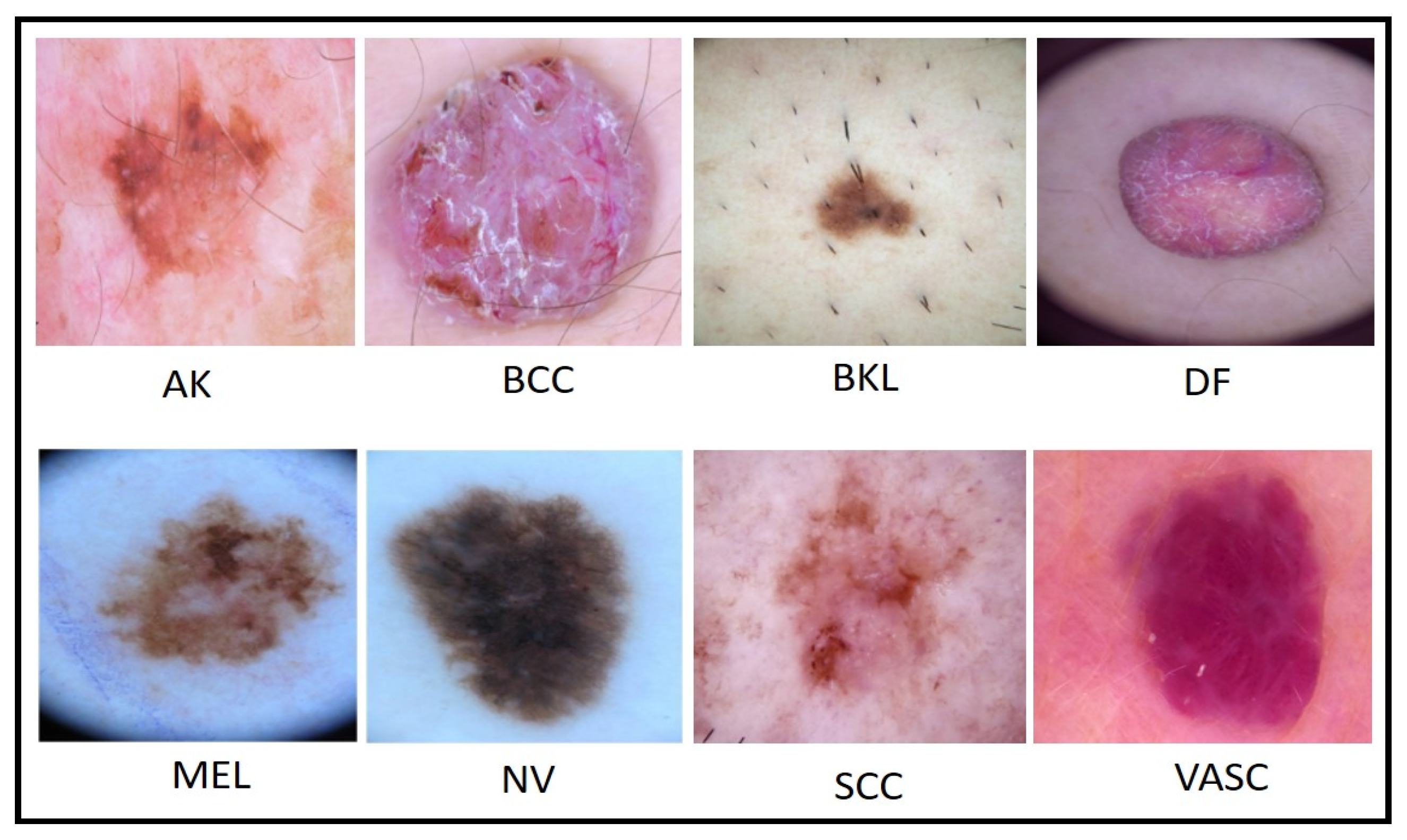 Diagnostics 13 03063 g002