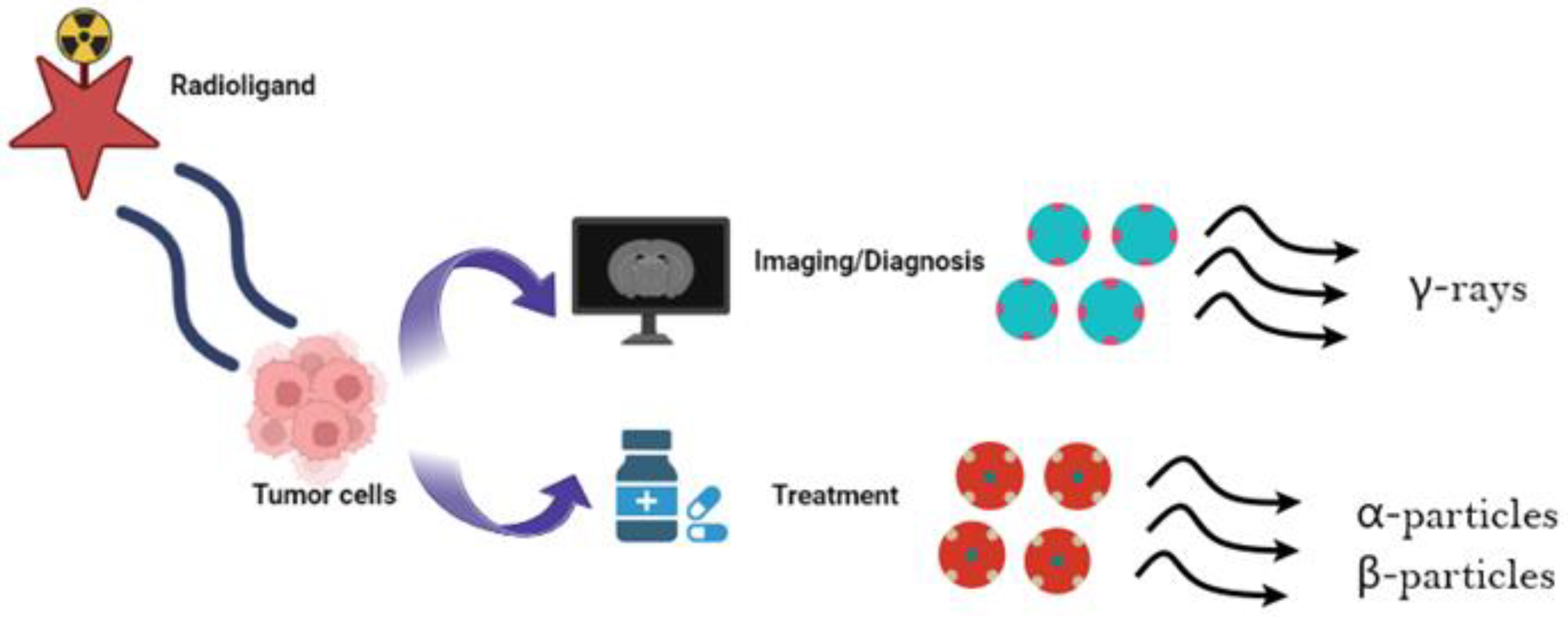 Diagnostics 13 03064 g001