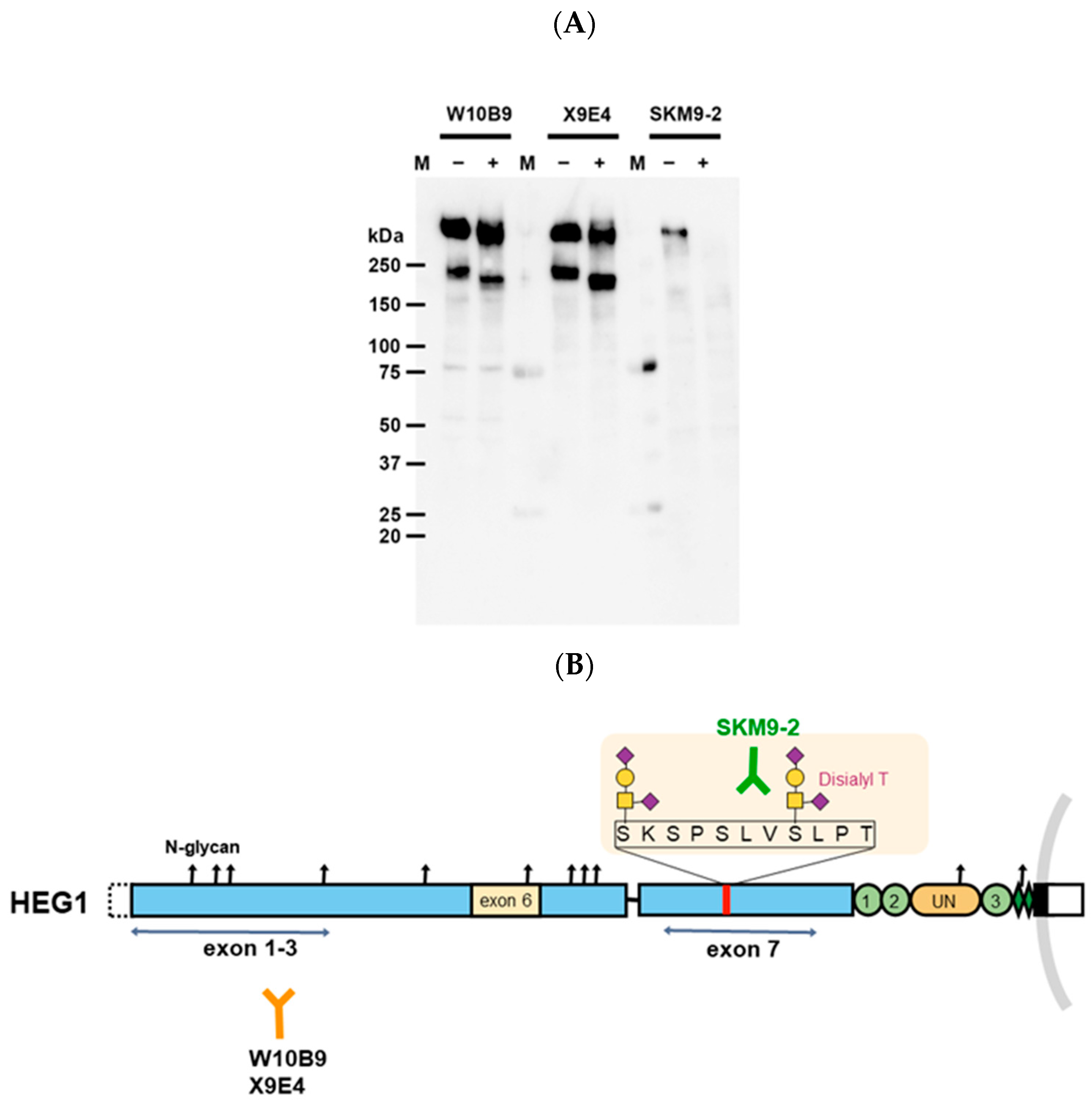 Diagnostics 13 03067 g001