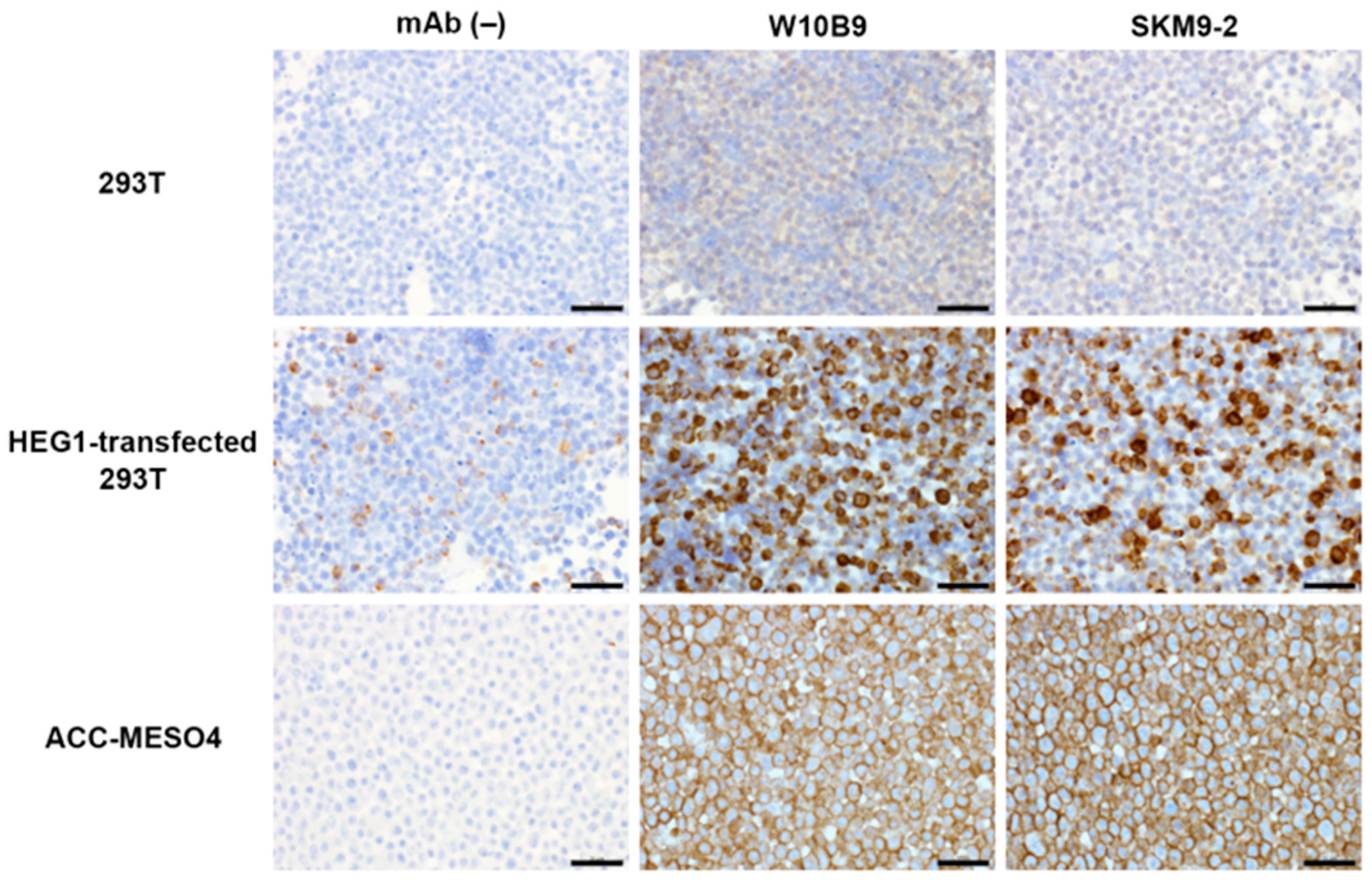 Diagnostics 13 03067 g002