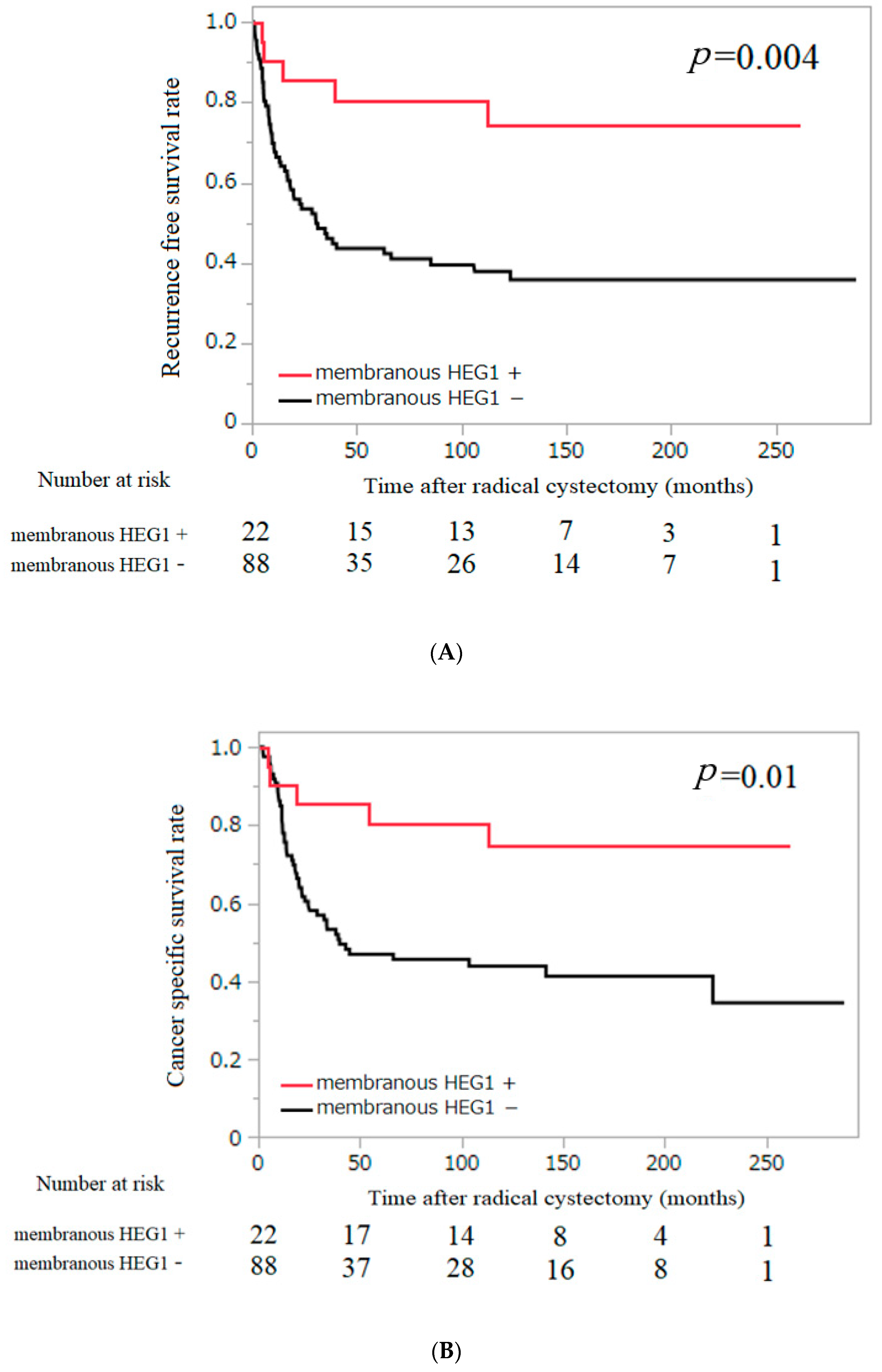 Diagnostics 13 03067 g004