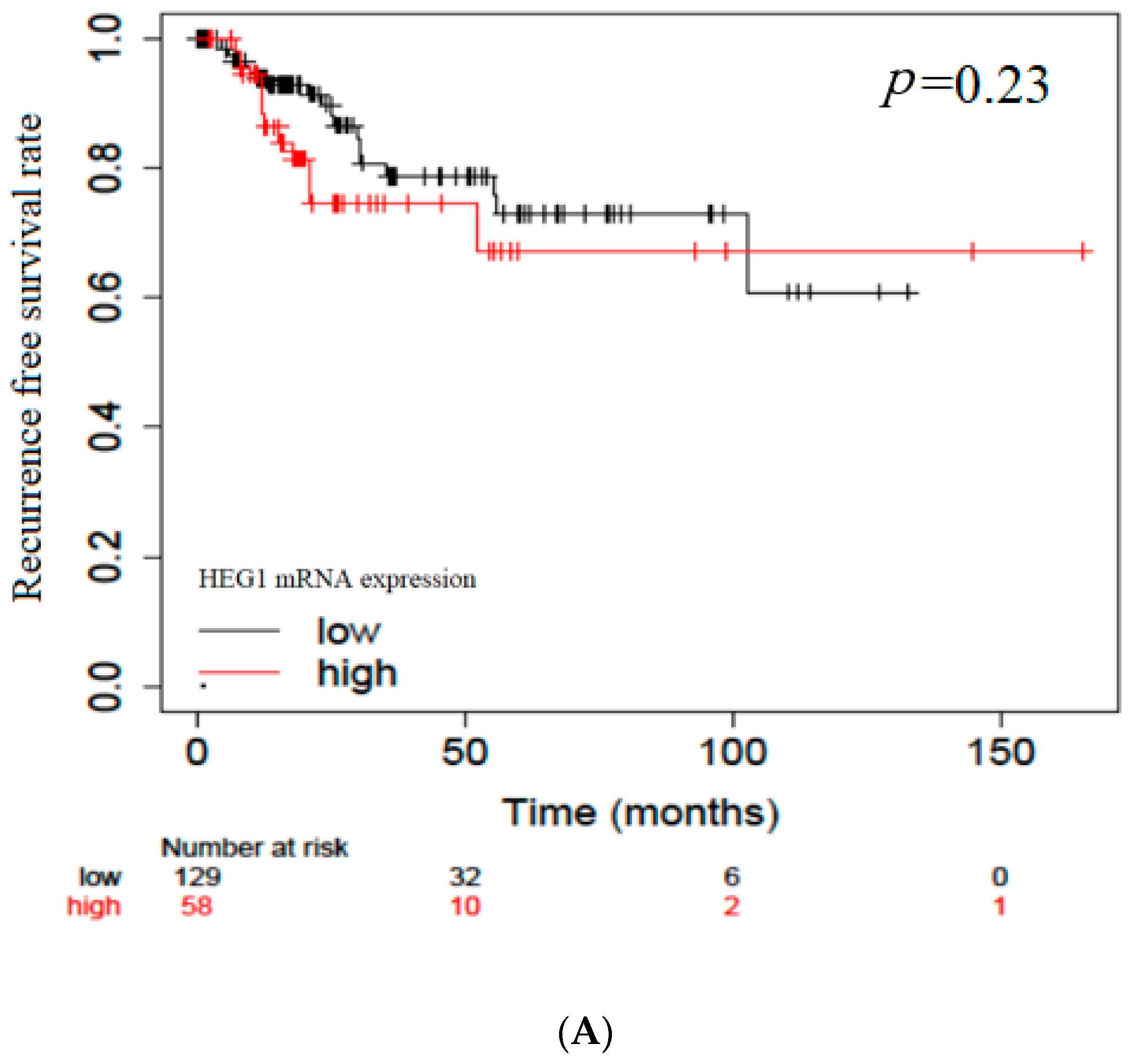 Diagnostics 13 03067 g005a