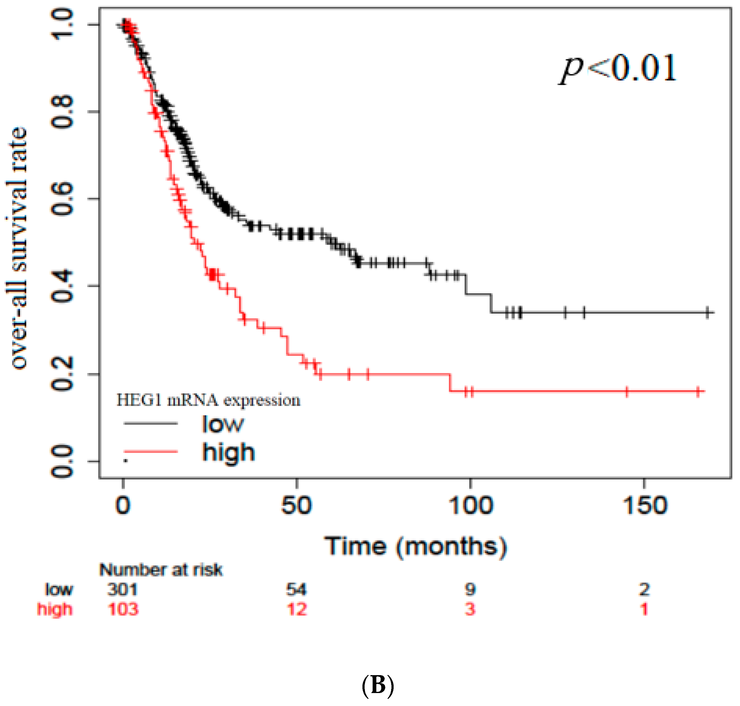Diagnostics 13 03067 g005b