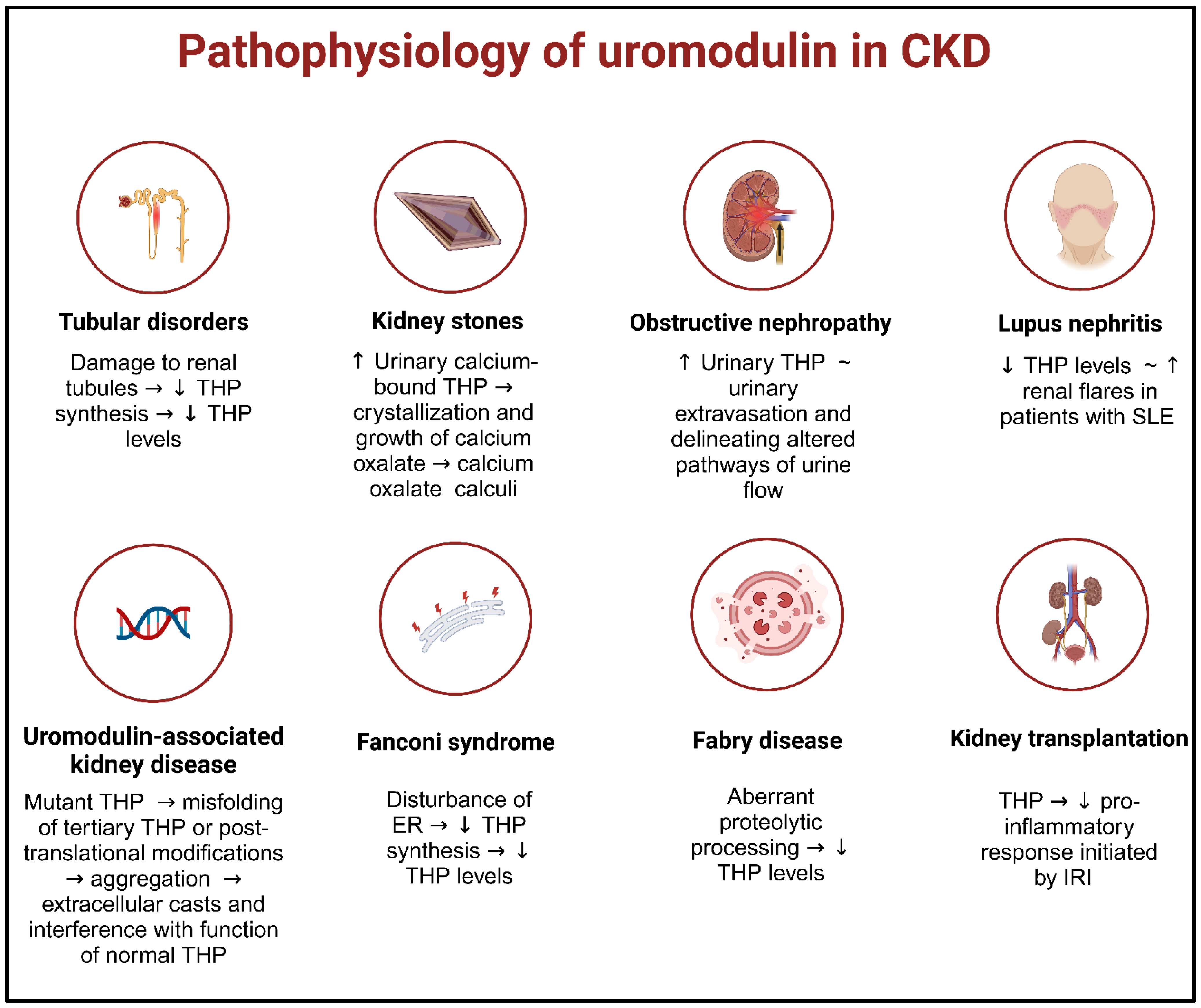 Diagnostics 13 03077 g004