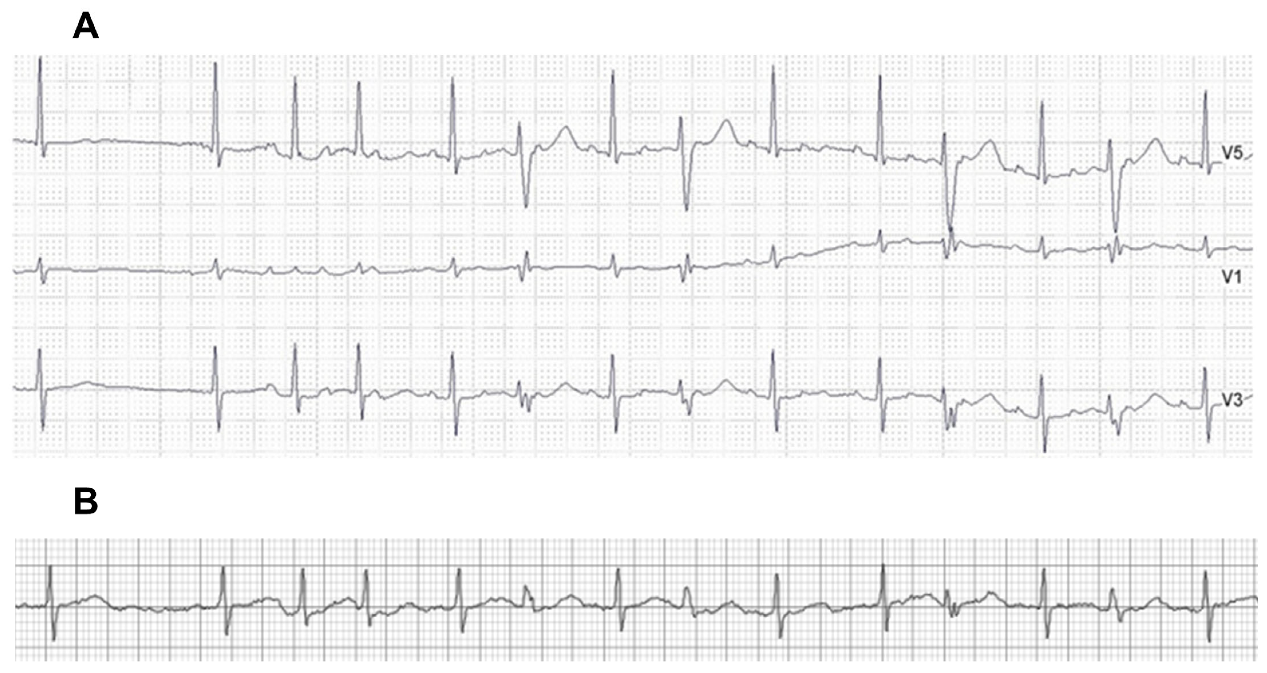 Diagnostics 13 03078 g002