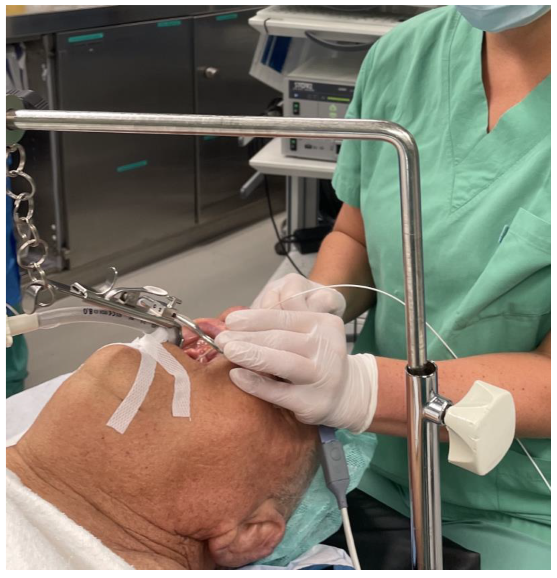 Diagnostics 13 03081 g001