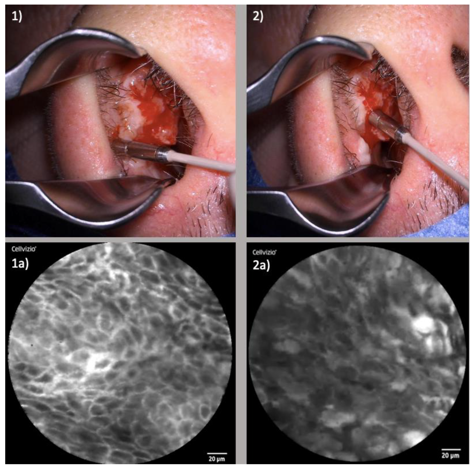 Diagnostics 13 03081 g004