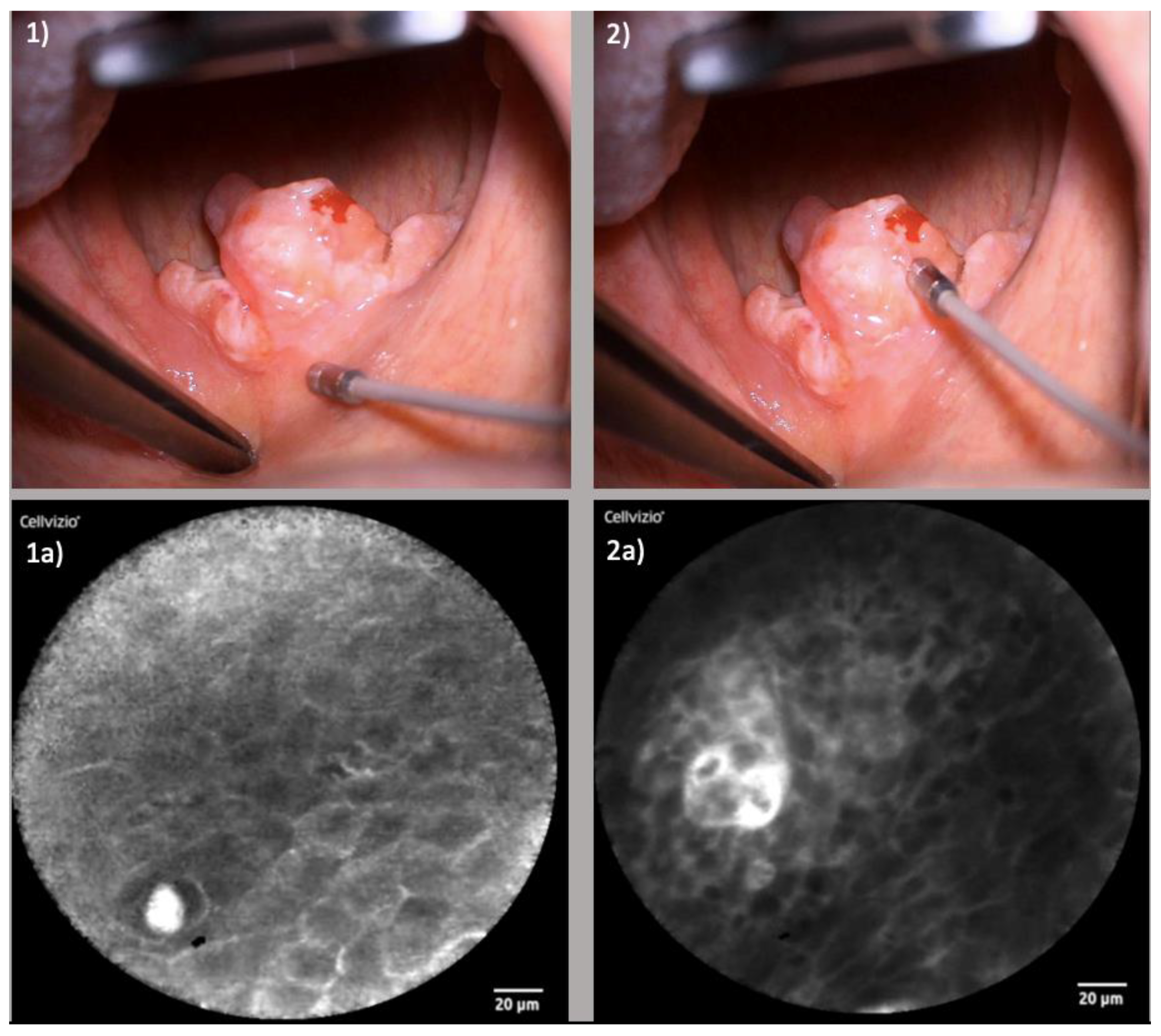 Diagnostics 13 03081 g005