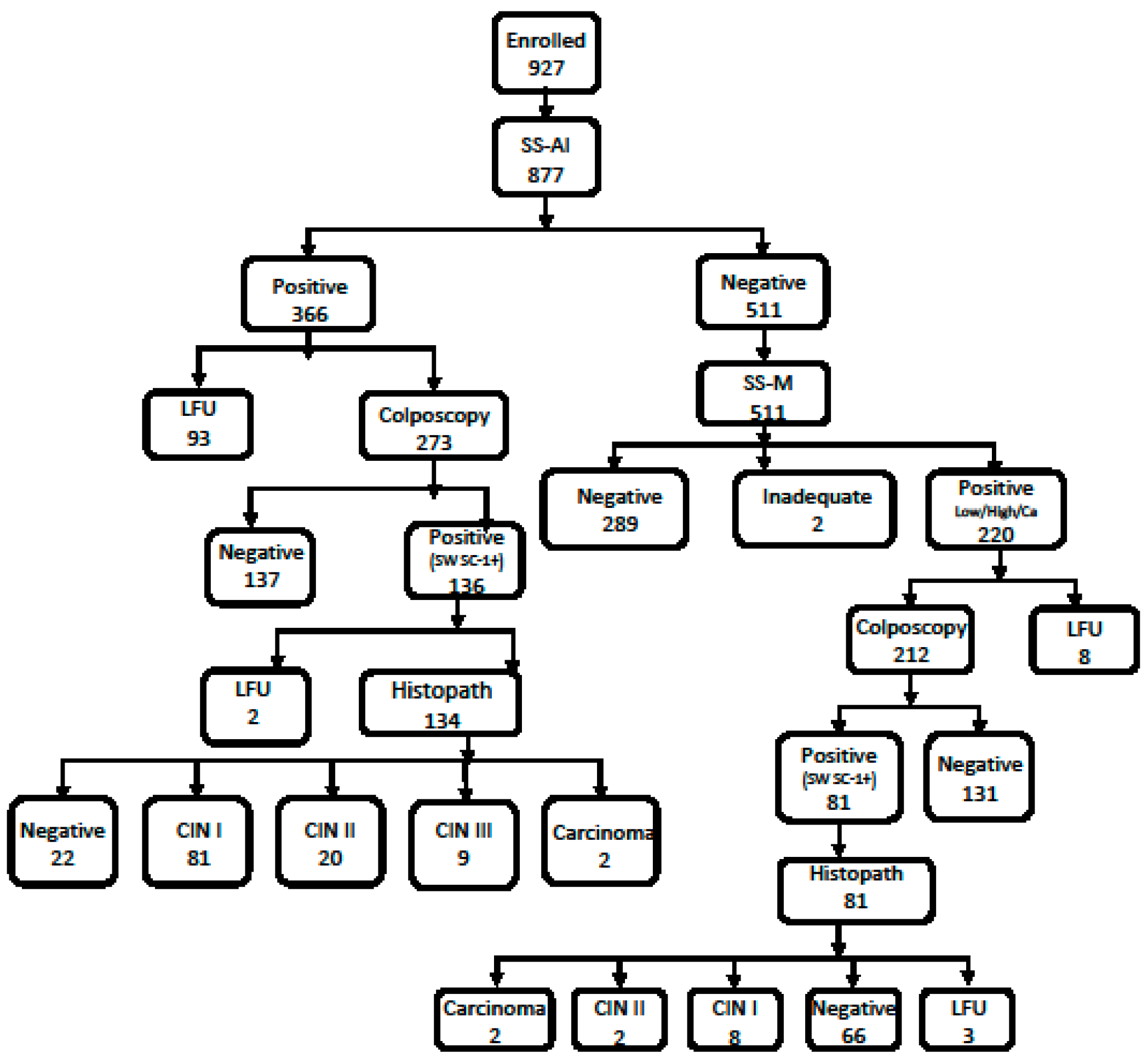 Diagnostics 13 03085 g002