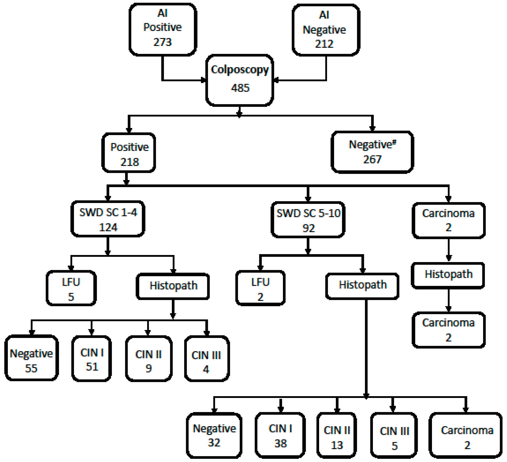 Diagnostics 13 03085 g003