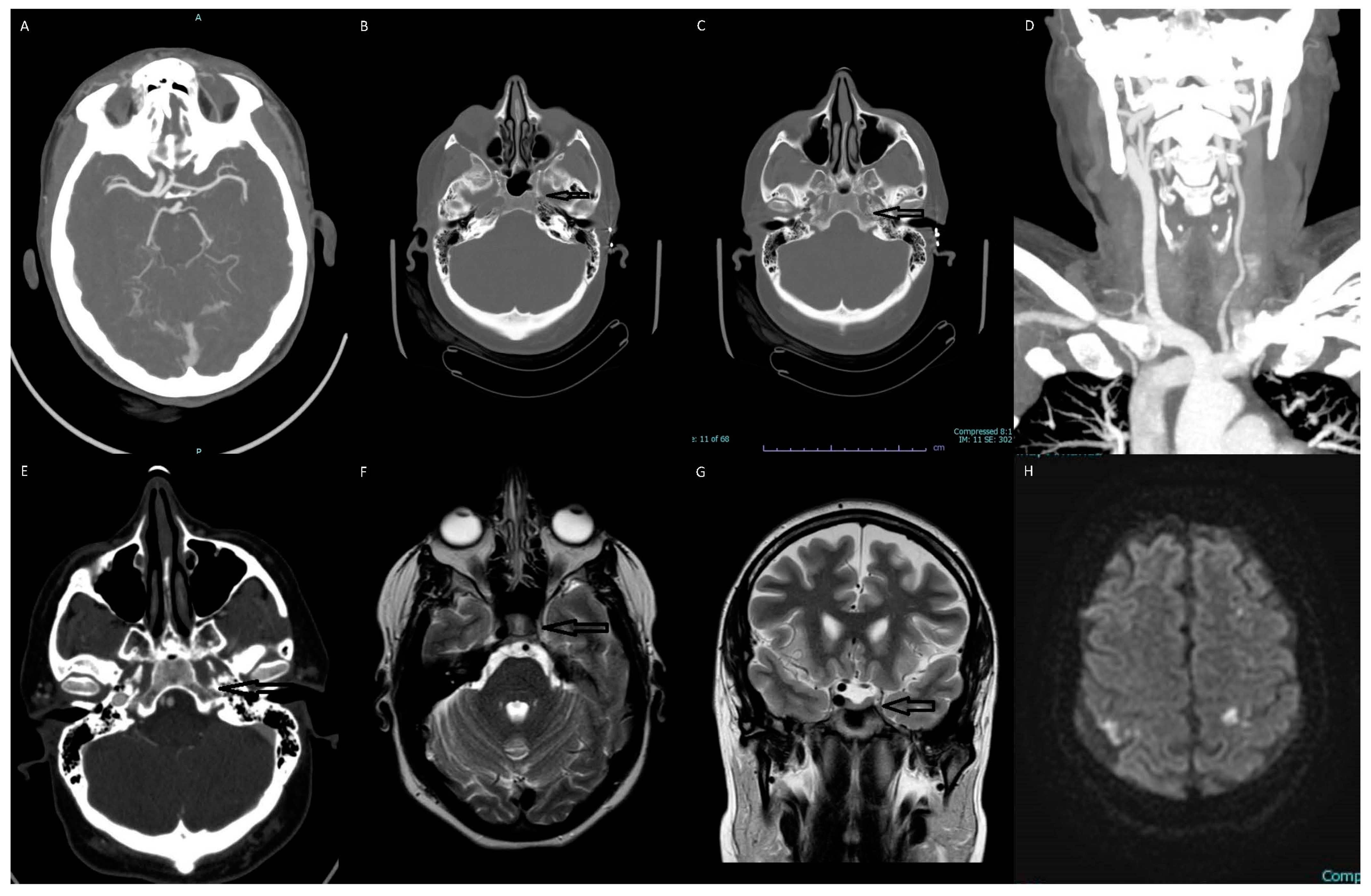 Diagnostics 13 03089 g001