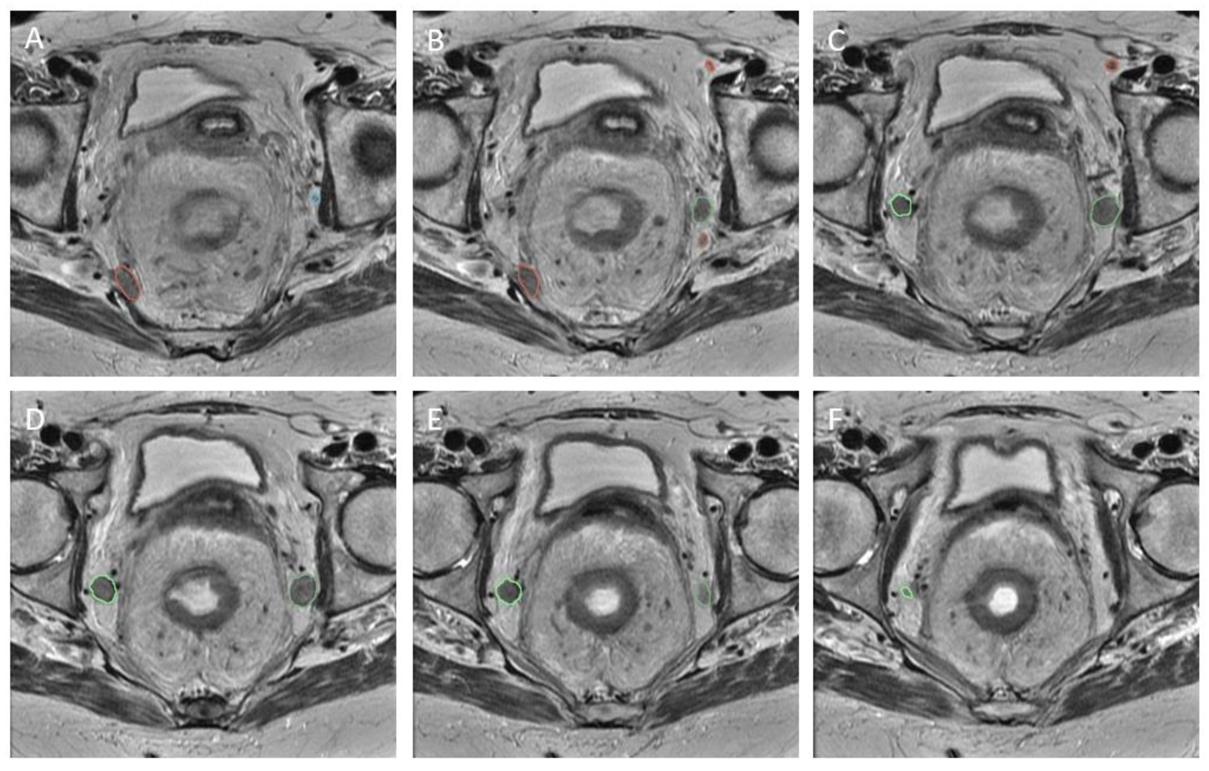 Diagnostics 13 03099 g003